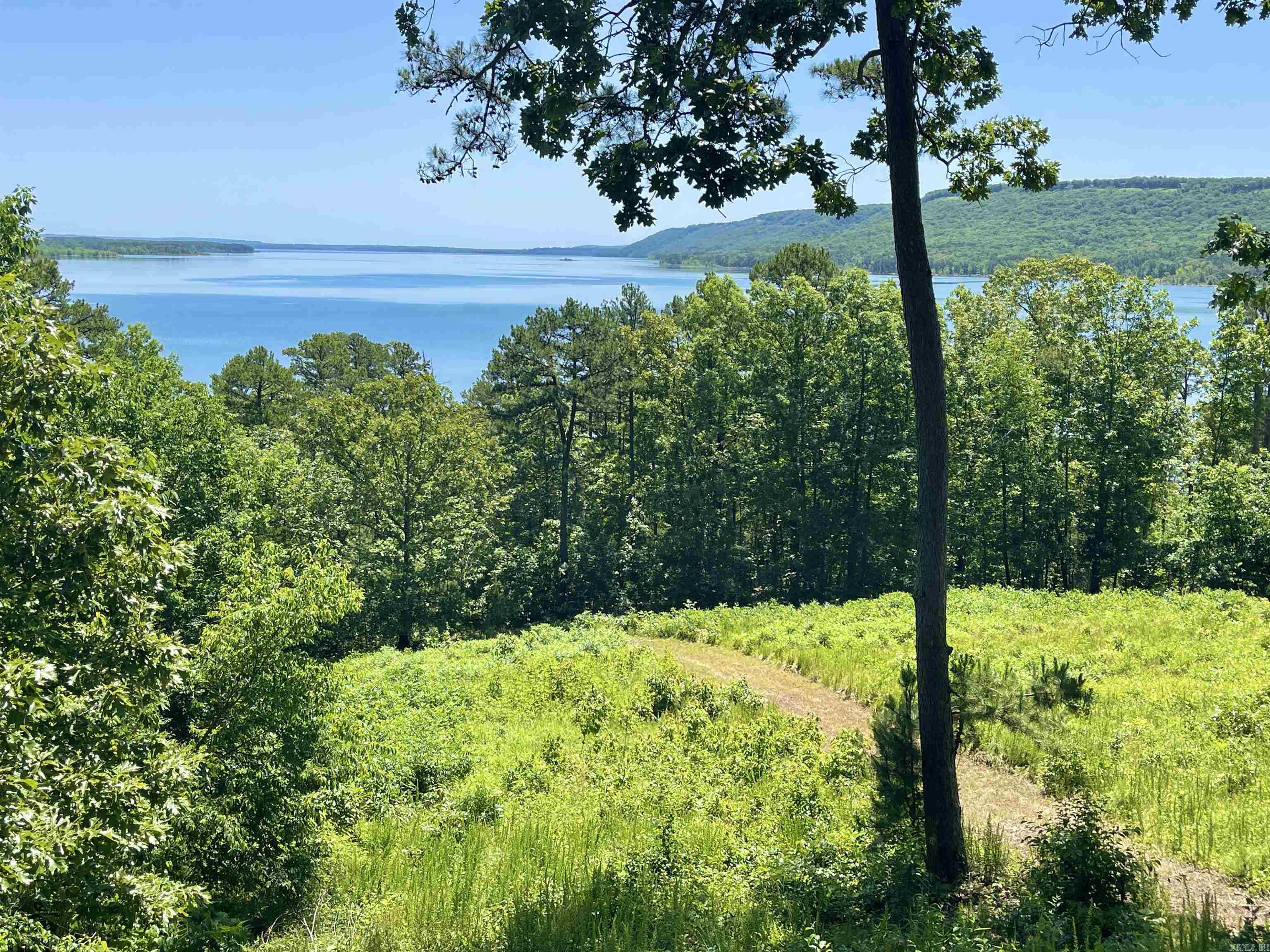 389 Tortoise Bay Rd.  Higden, AR