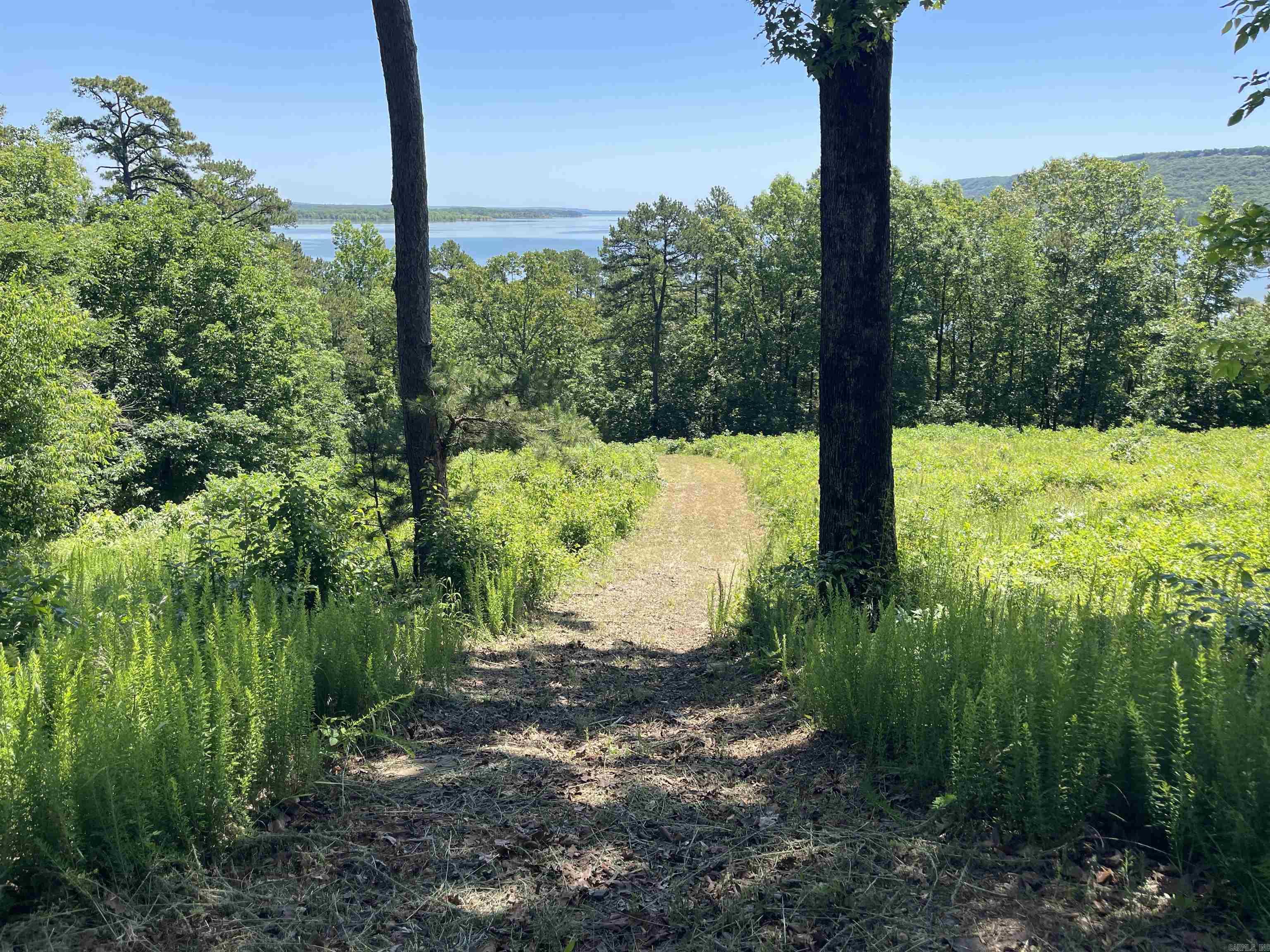 389 Tortoise Bay Rd.  Higden, AR