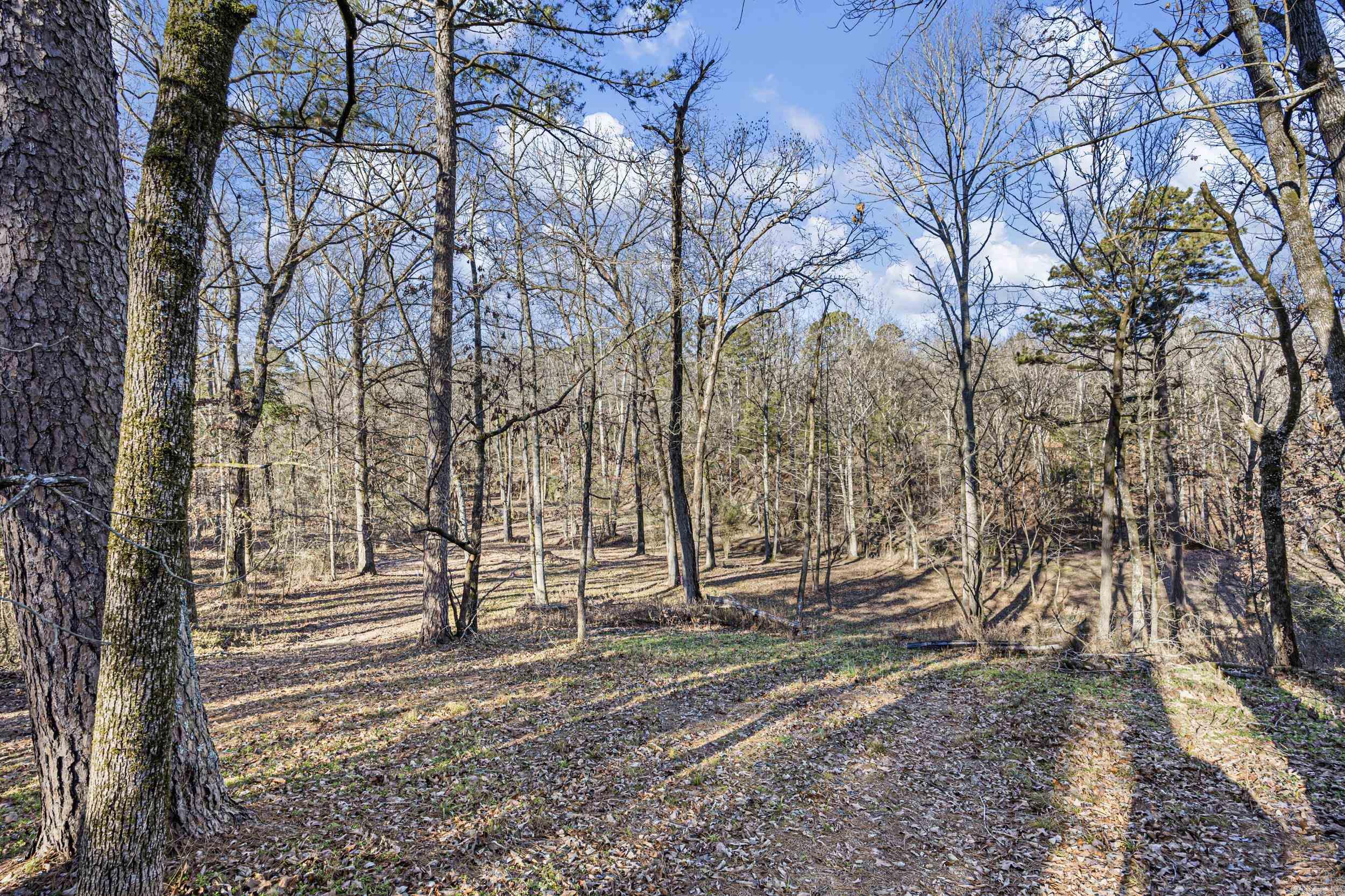 411 Worley  Russellville, AR