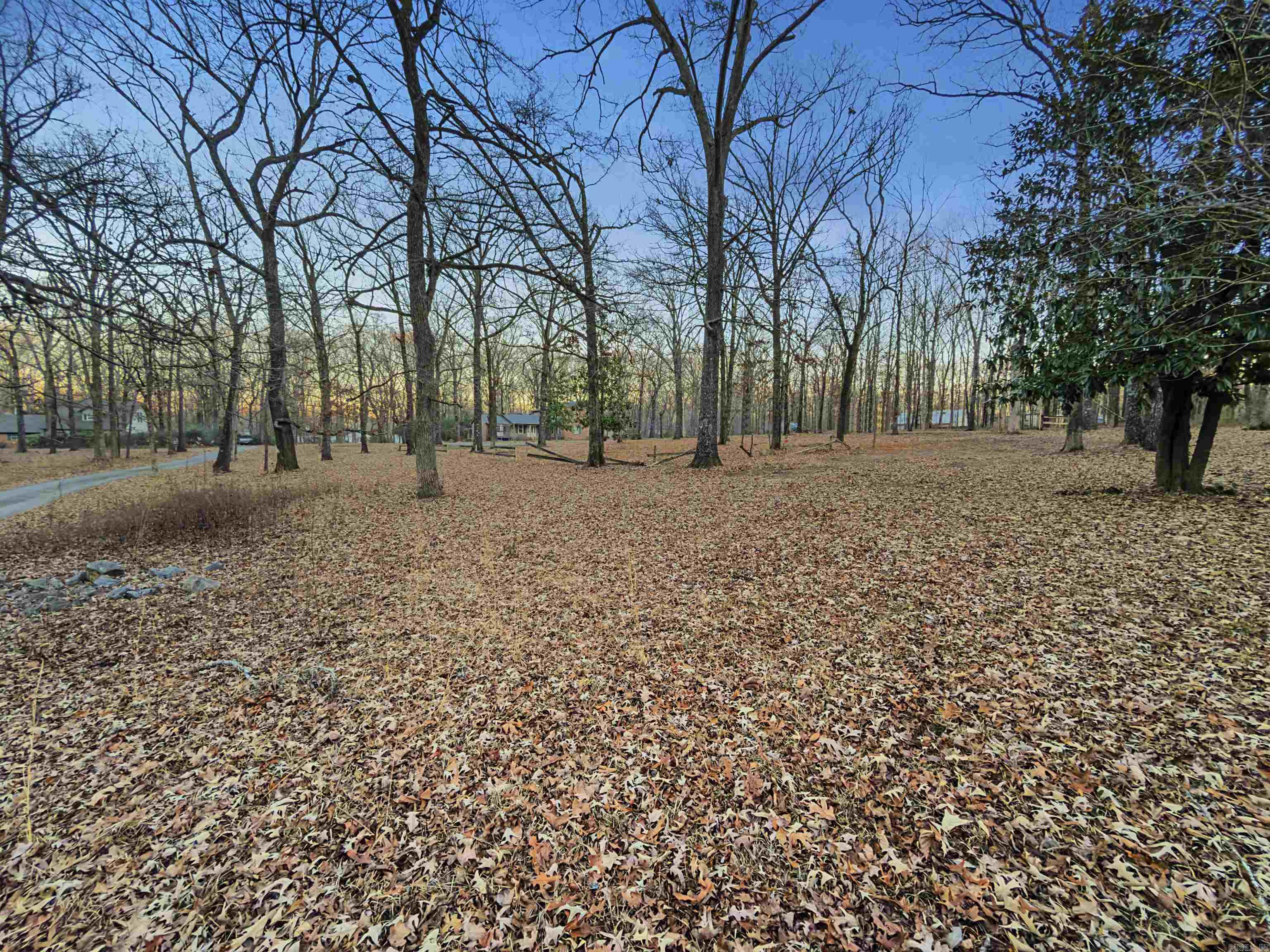 331 Holly Lane  Austin, AR