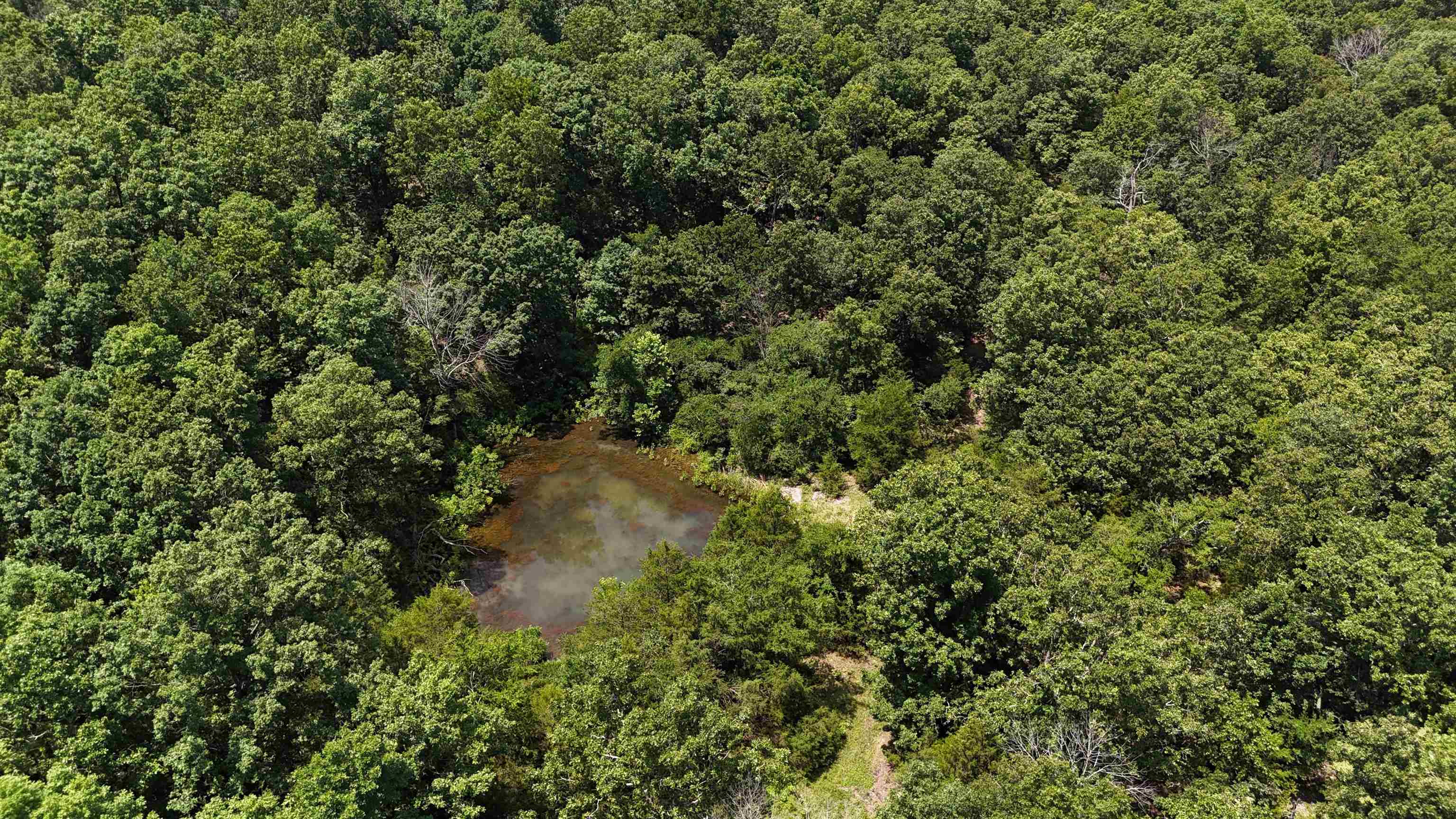  Kremer  Franklin, AR