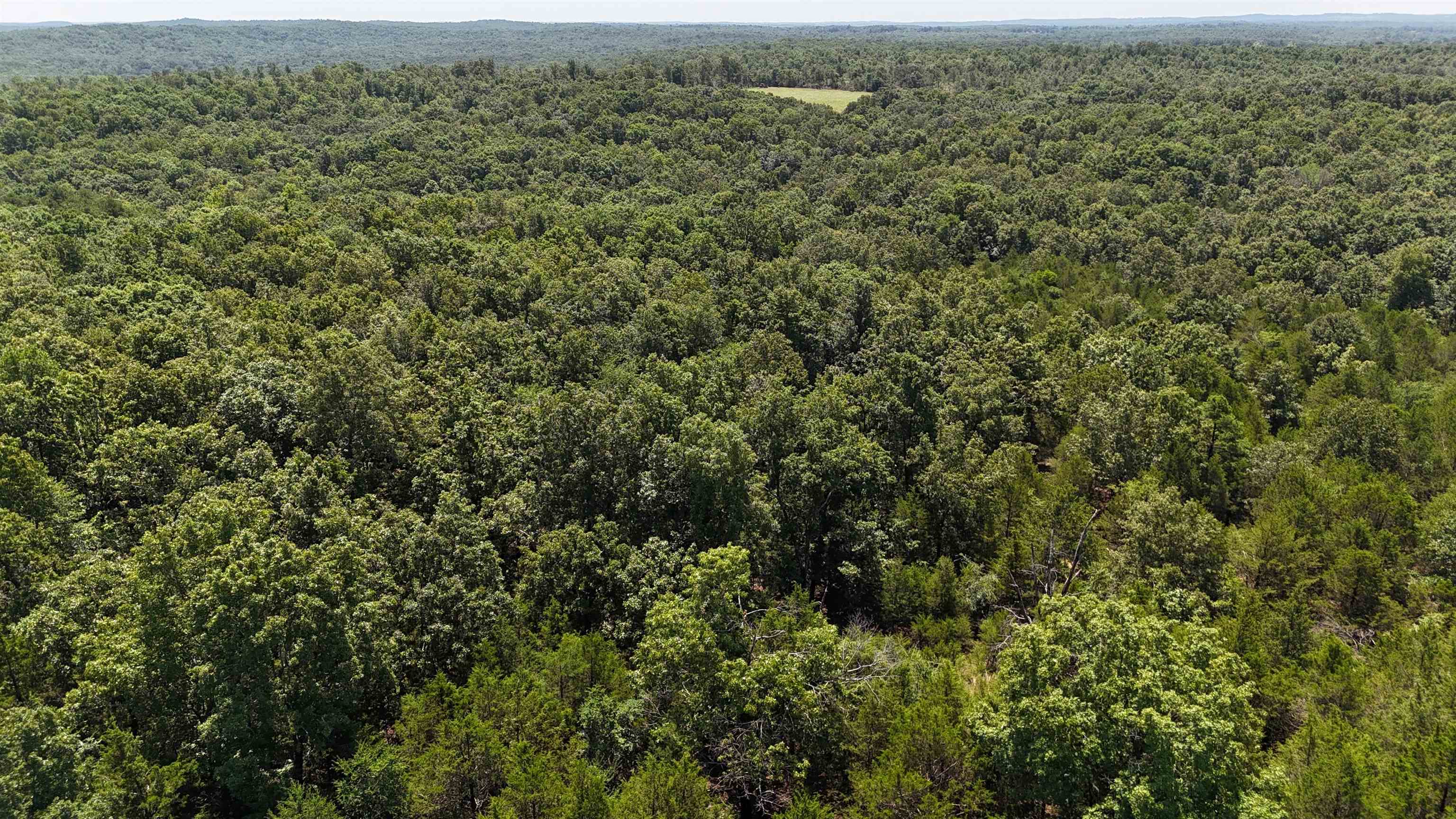  Kremer  Franklin, AR