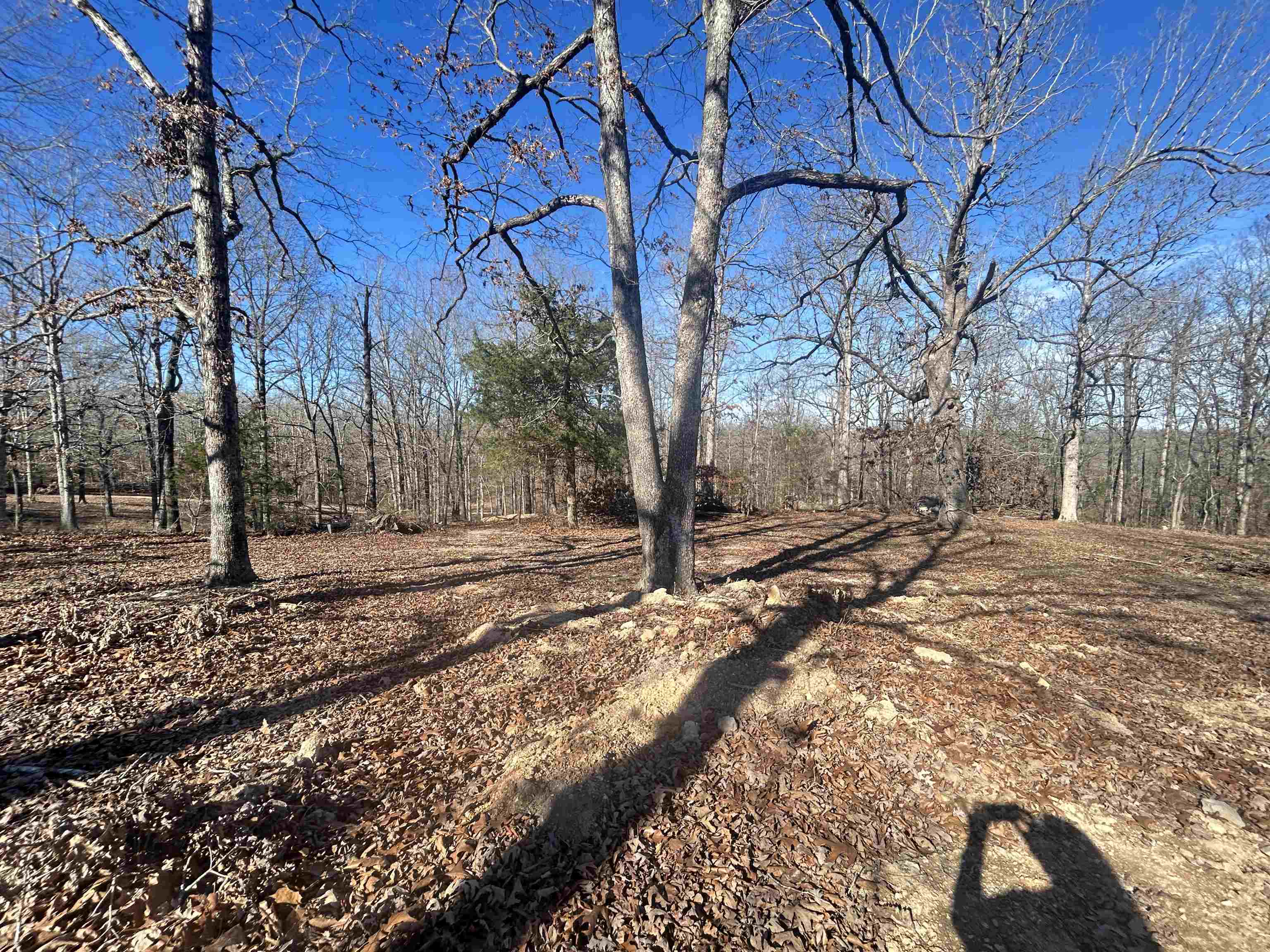 TBD FM 101  Highland, AR