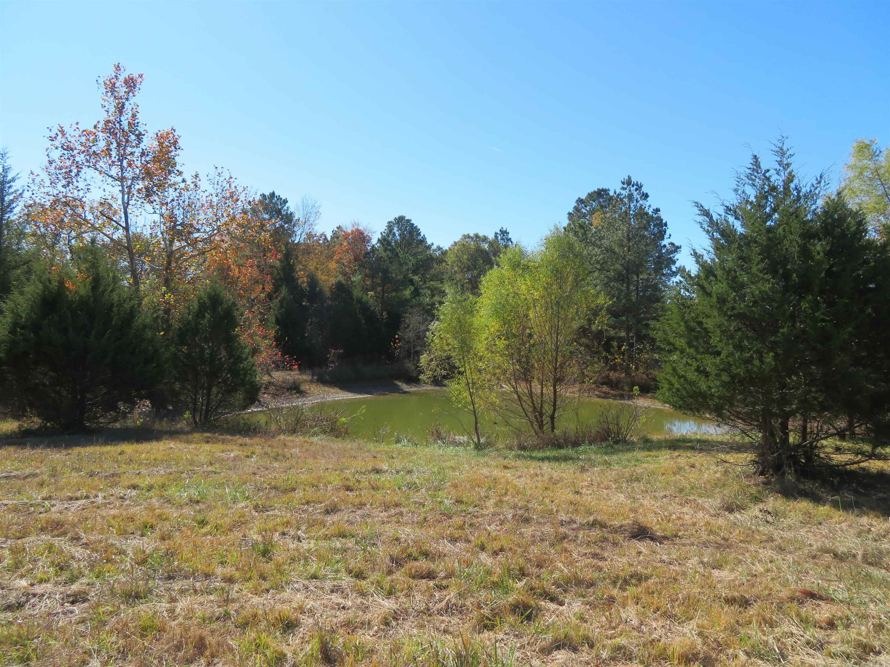 91 Francis  Arkadelphia, AR