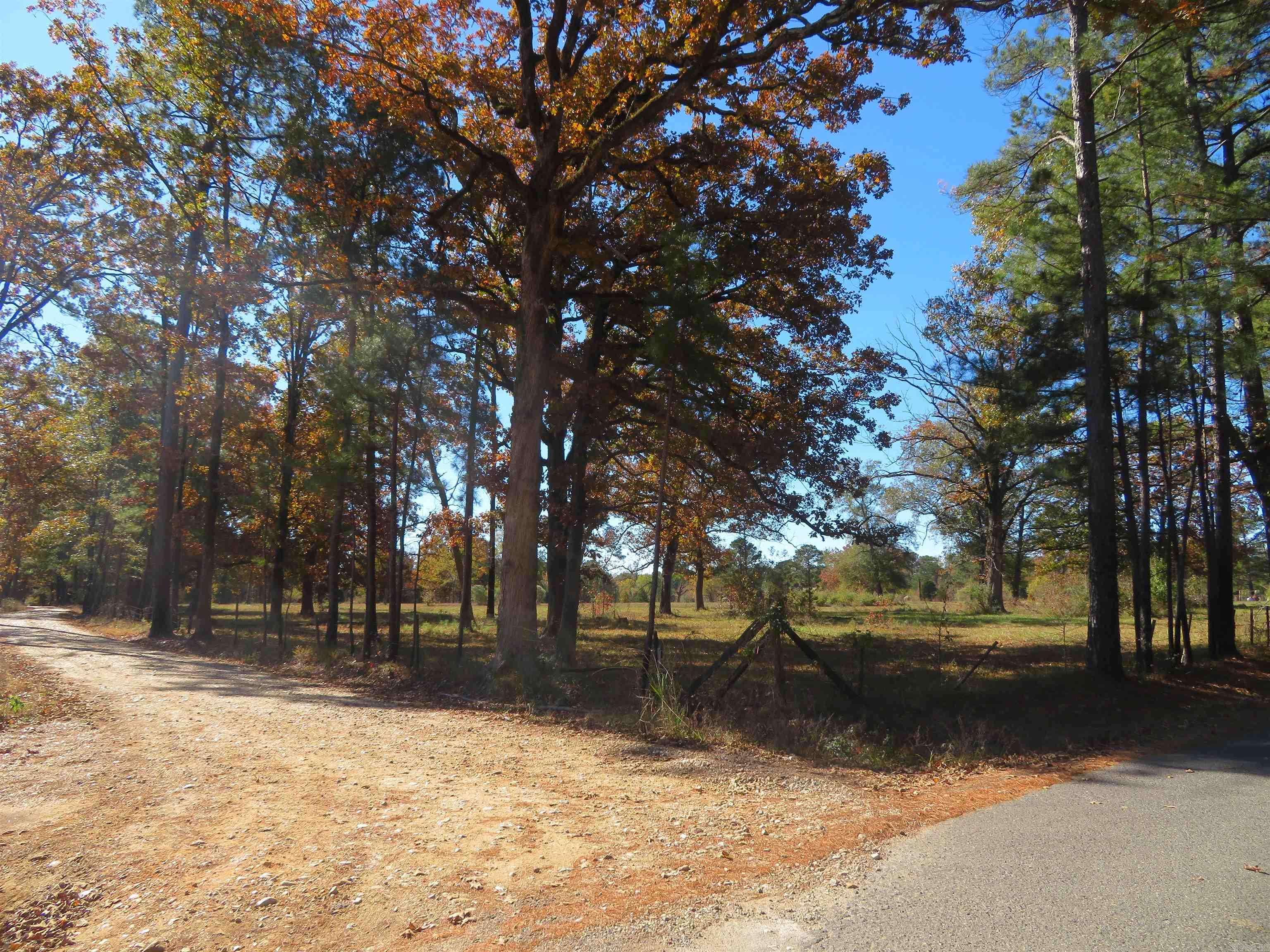 91 Francis  Arkadelphia, AR