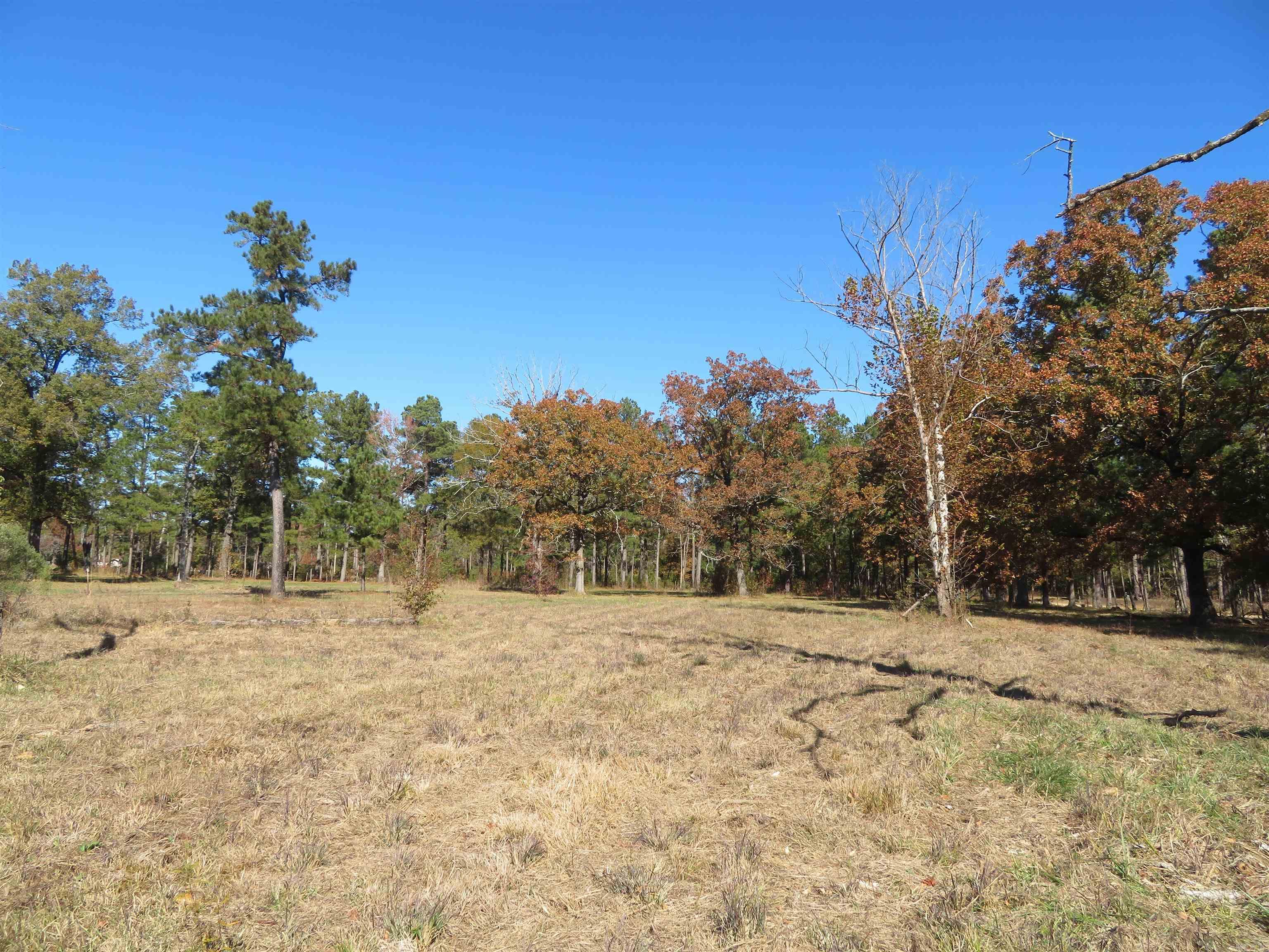 91 Francis  Arkadelphia, AR