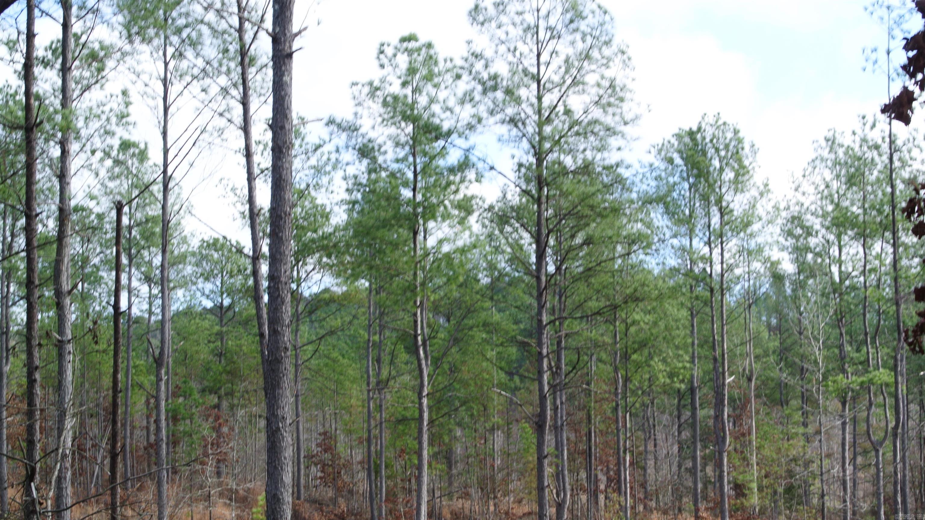 280 Lot B 8.87 Acres Brookhill Ranch  Hot Springs, AR