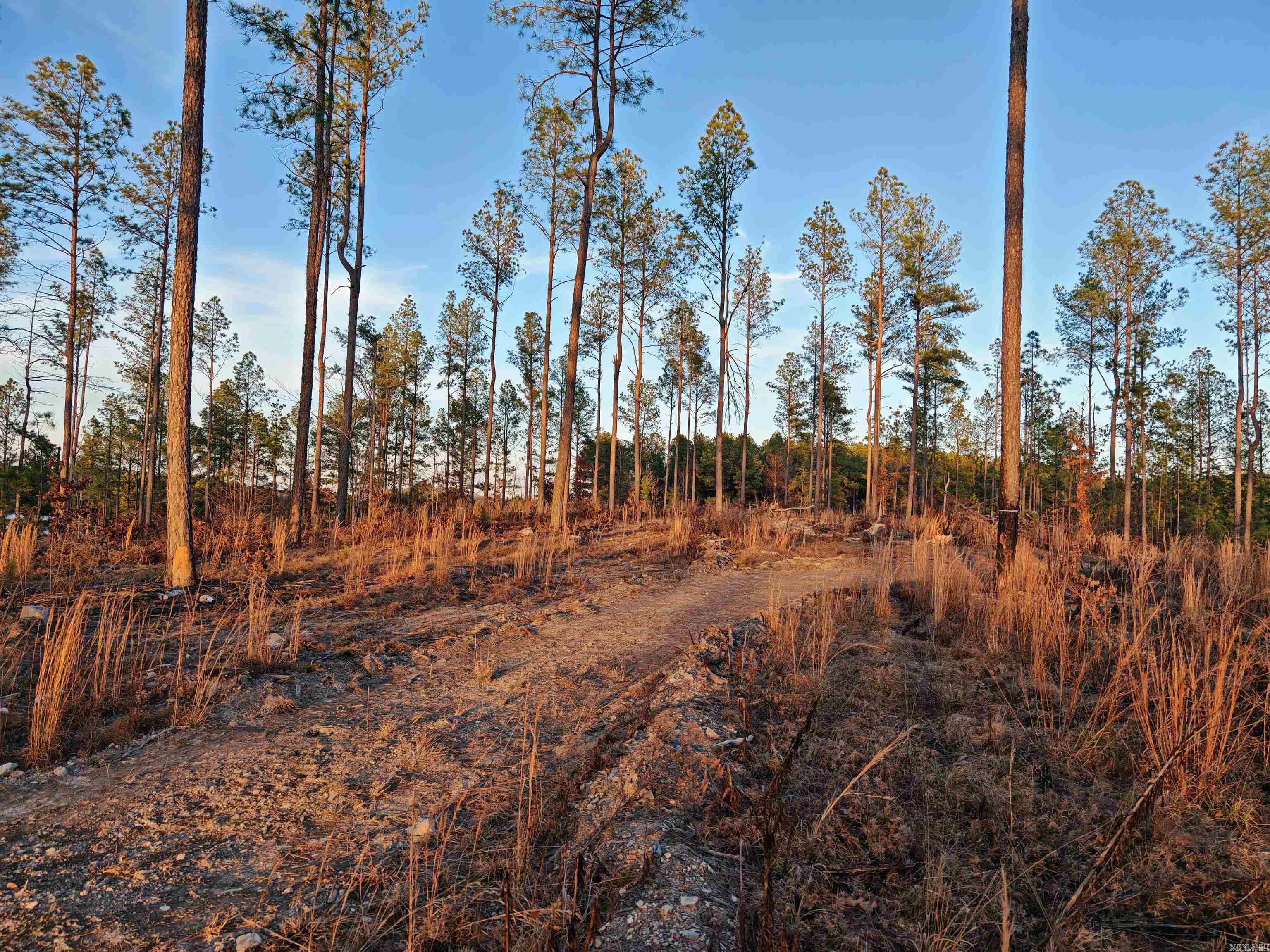 280 Lot B 8.87 Acres Brookhill Ranch  Hot Springs, AR