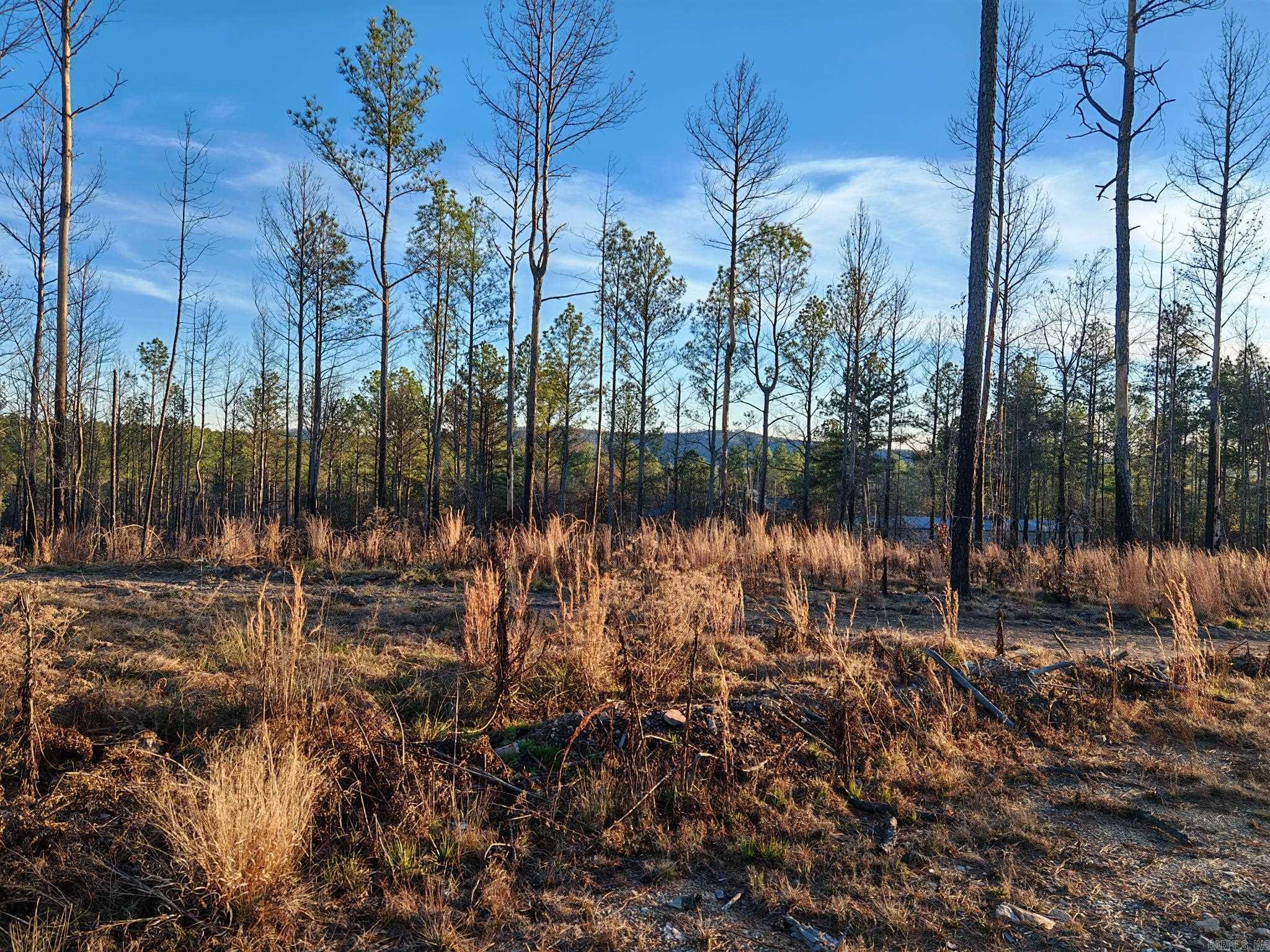 280 Lot B 8.87 Acres Brookhill Ranch  Hot Springs, AR