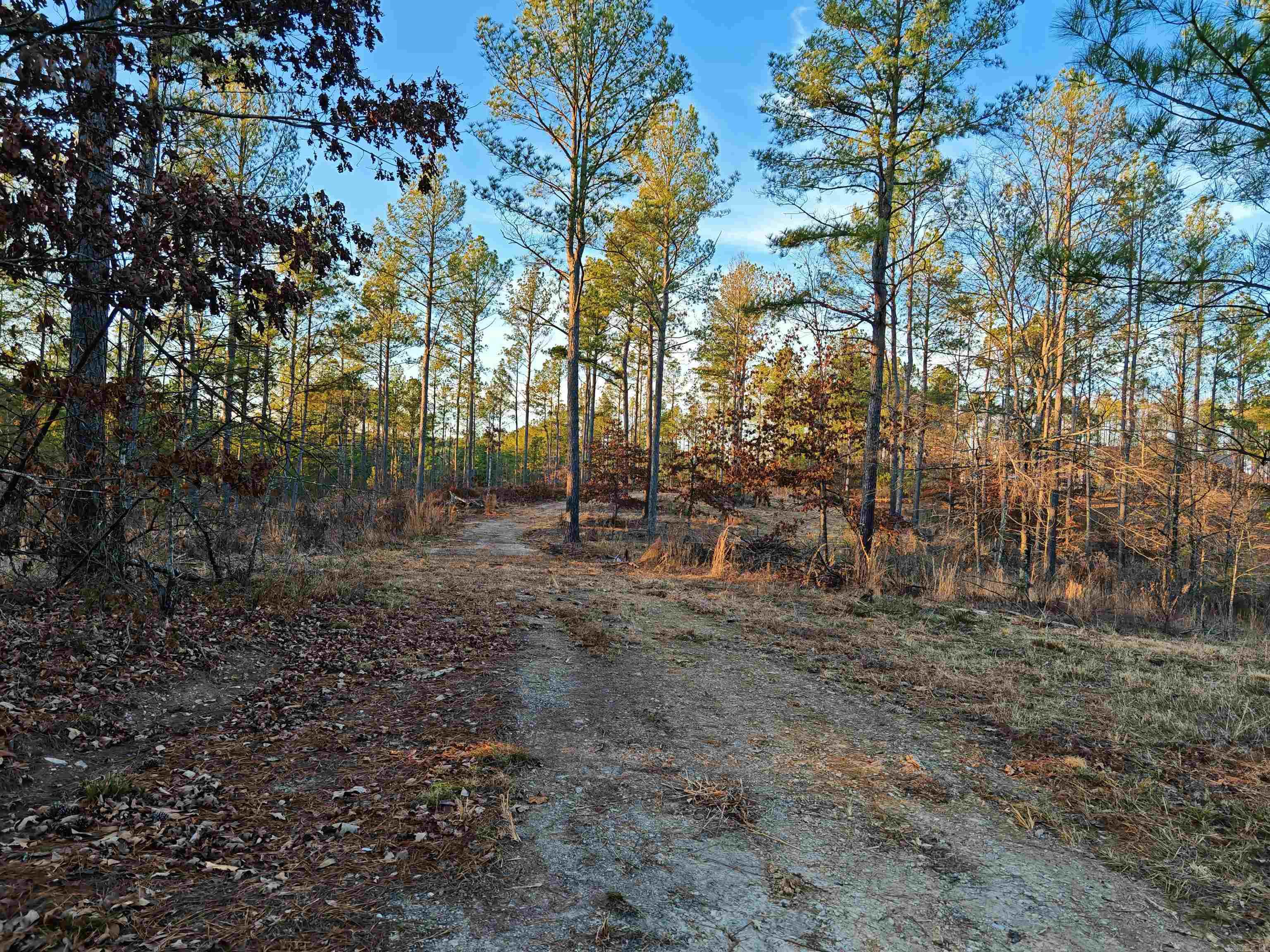 280 Lot C 6.5 Acres Brookhill Ranch  Hot Springs, AR