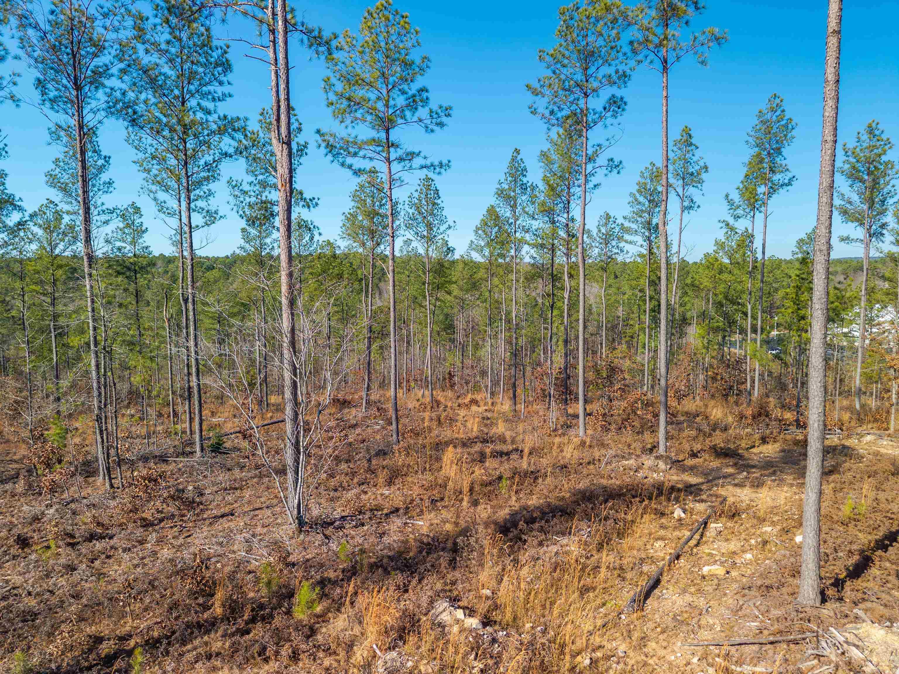 280 Lot C 6.5 Acres Brookhill Ranch  Hot Springs, AR