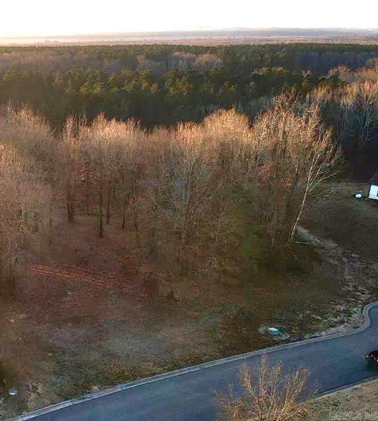 Lot 25 Birch  Arkadelphia, AR