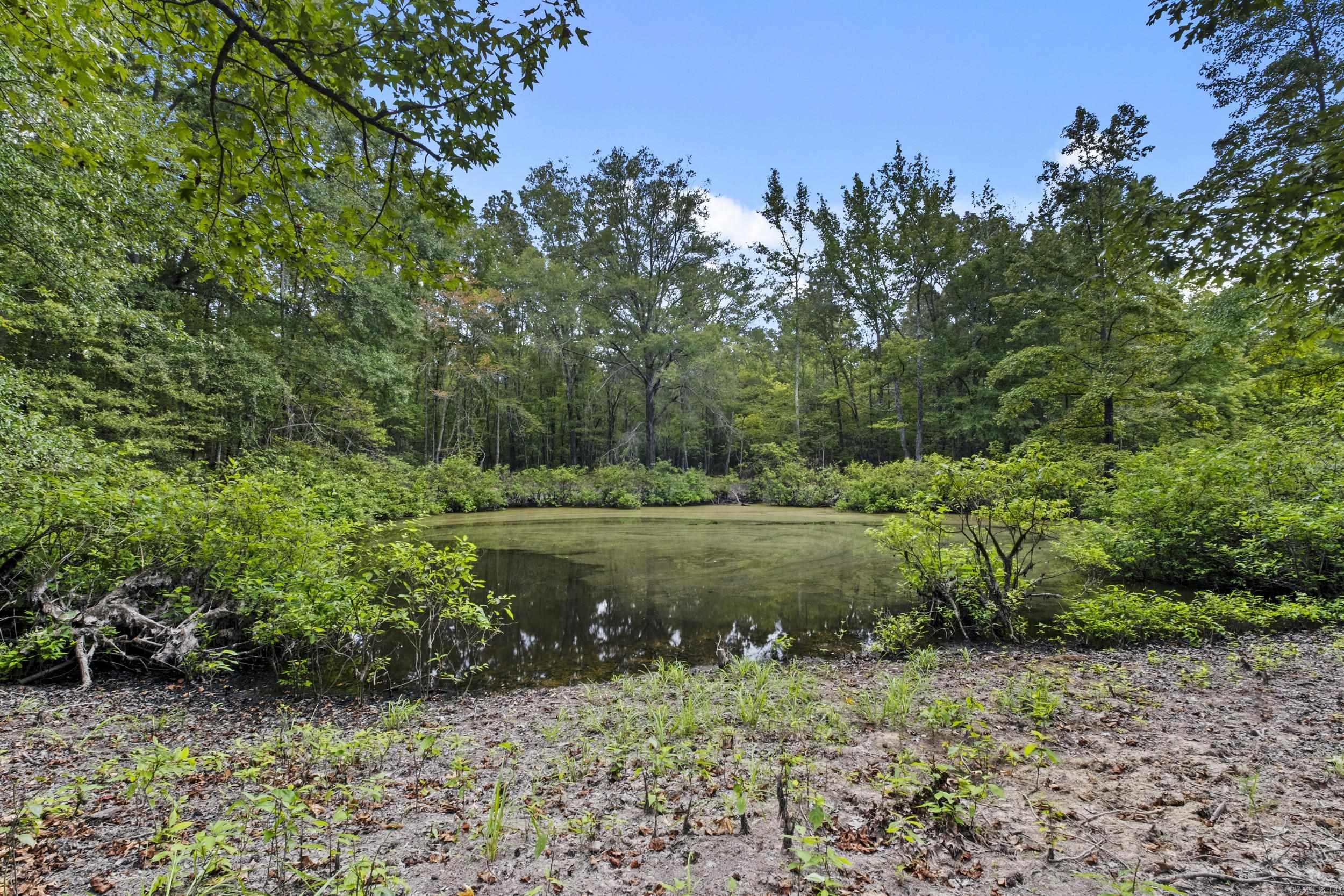 2236 Tippitt  Woodlawn, AR