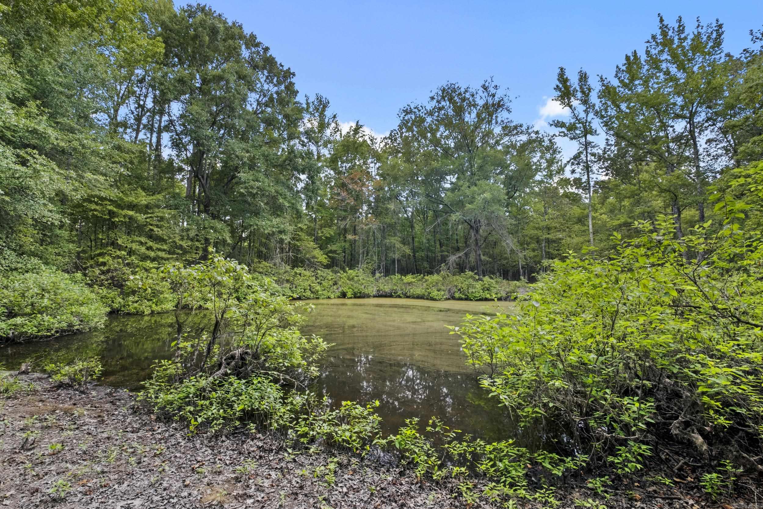 2236 Tippitt  Woodlawn, AR