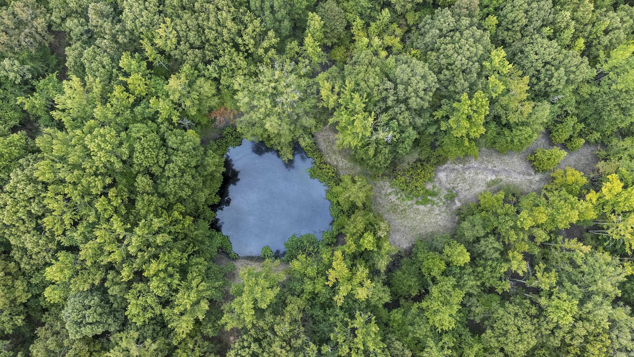 2236 Tippitt  Woodlawn, AR