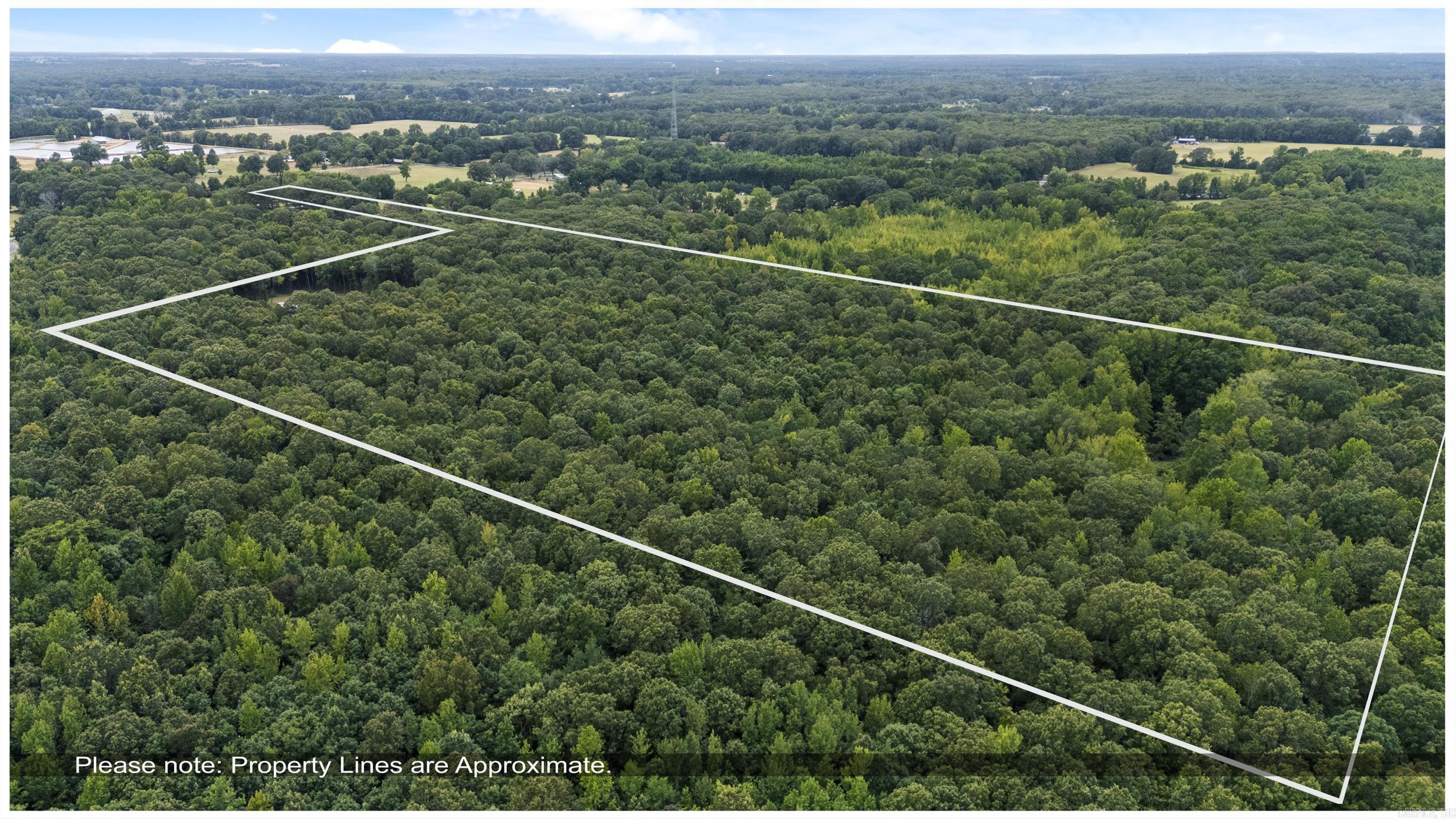 2236 Tippitt  Woodlawn, AR