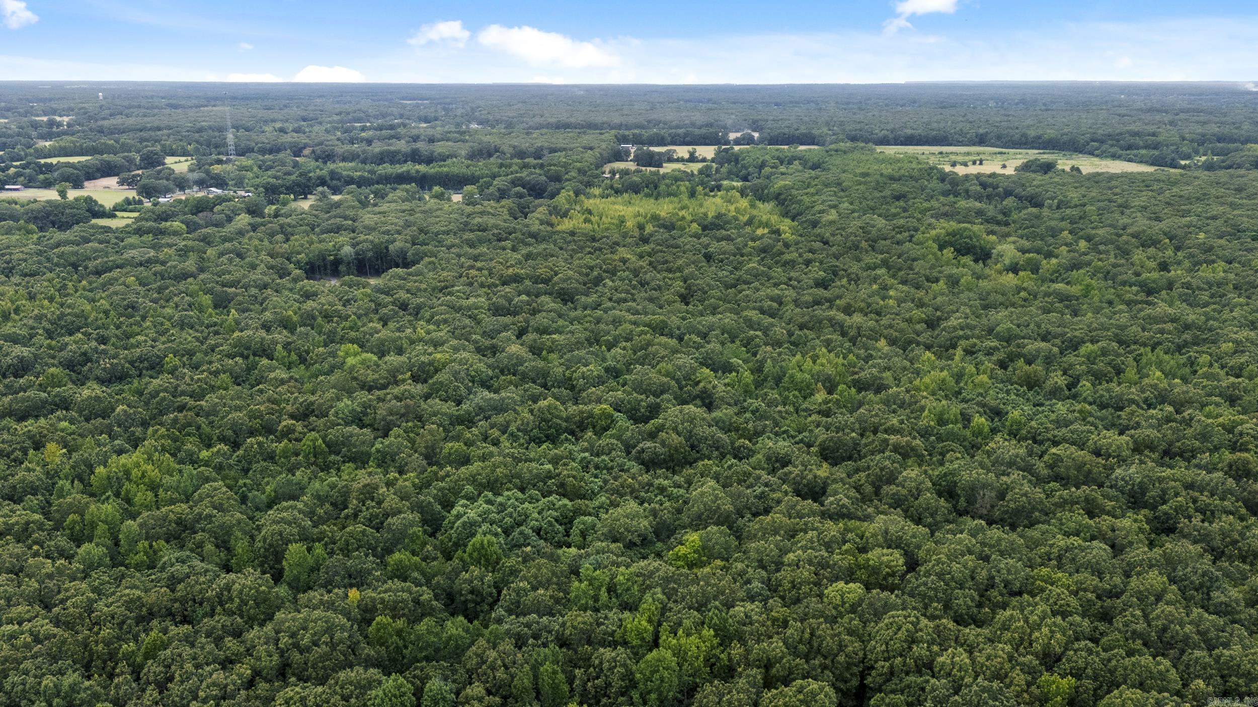 2236 Tippitt  Woodlawn, AR