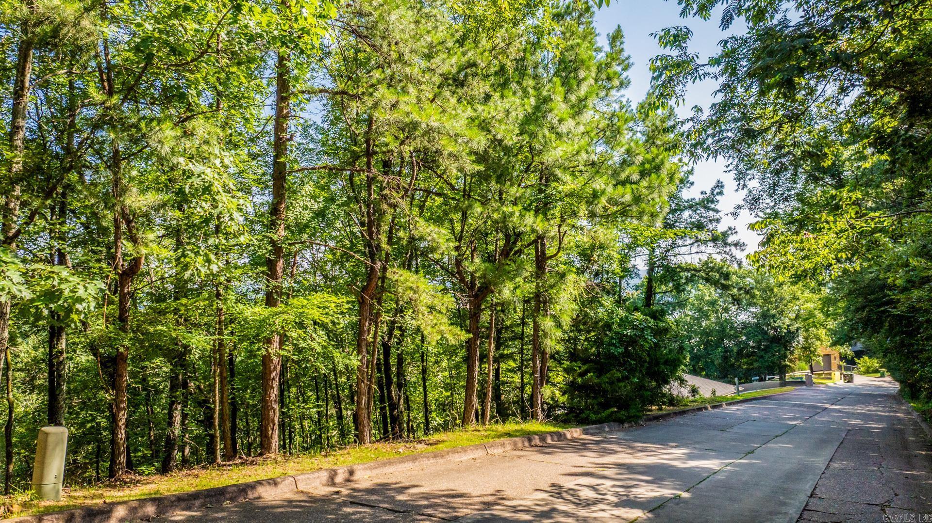 Lot 17 River Ridge Pt.  Little Rock, AR