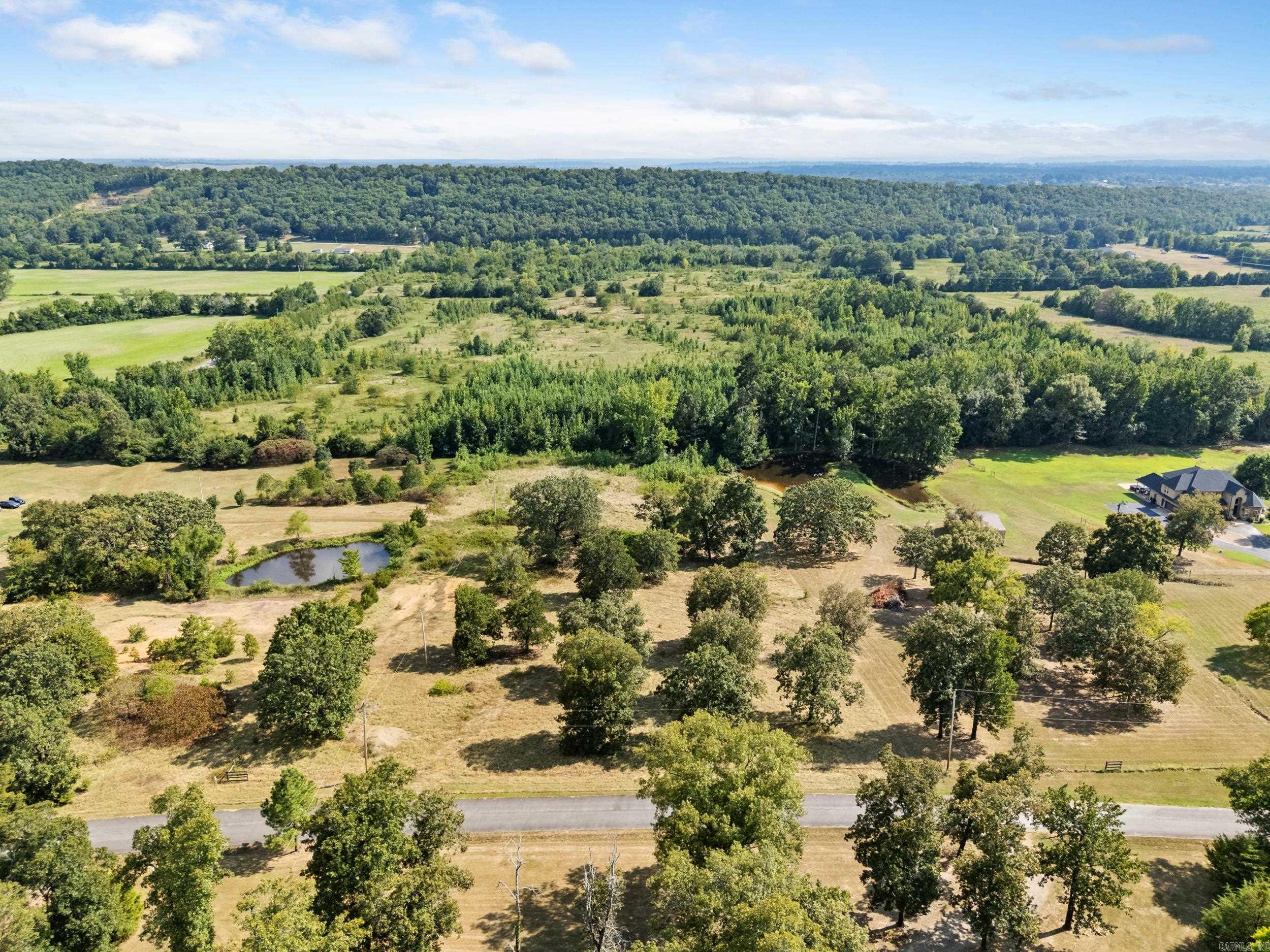 114 Castlepines Drive  Greenbrier, AR