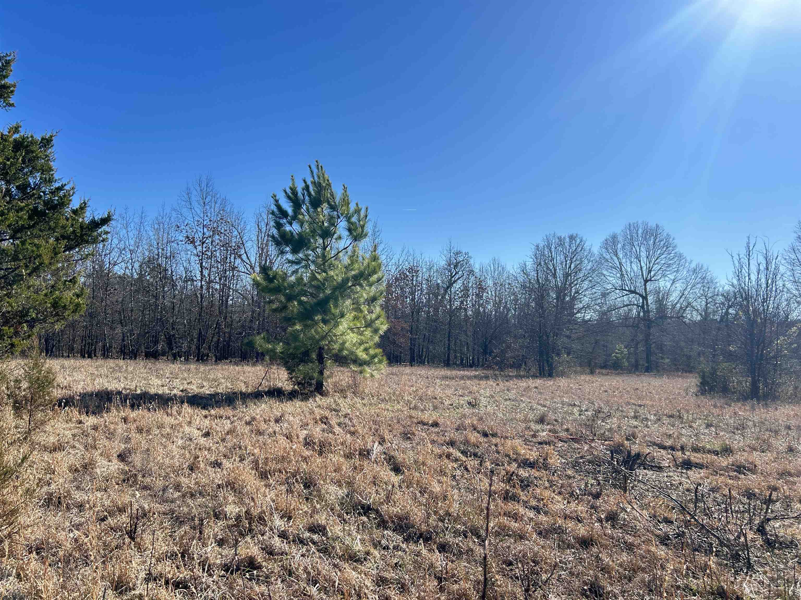 TBD Hwy 62/412  Highland, AR