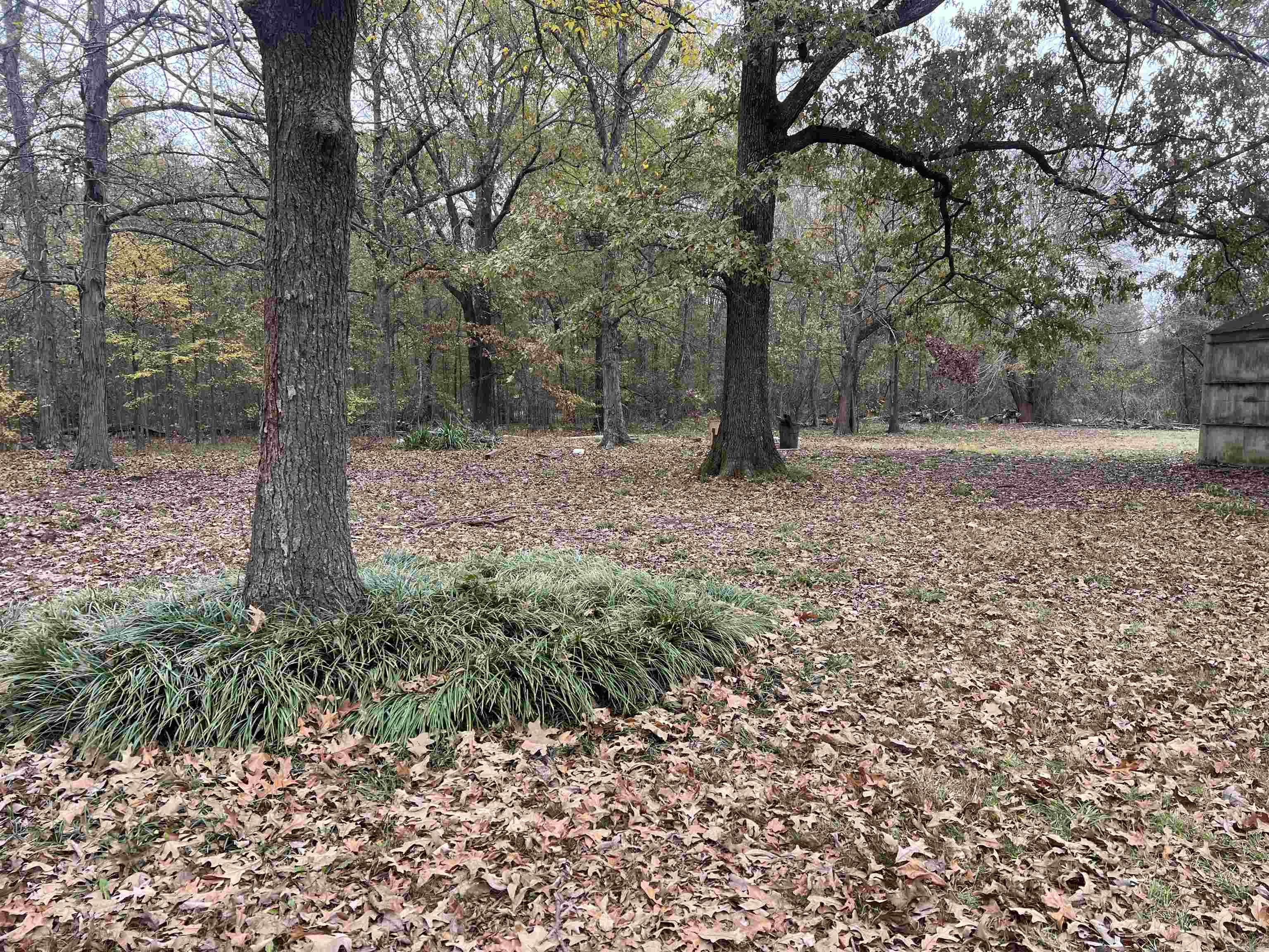 100 Sherwood  McGehee, AR