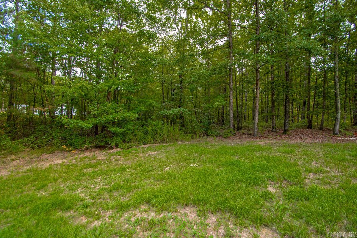 1 Cozy Lane  Redfield, AR