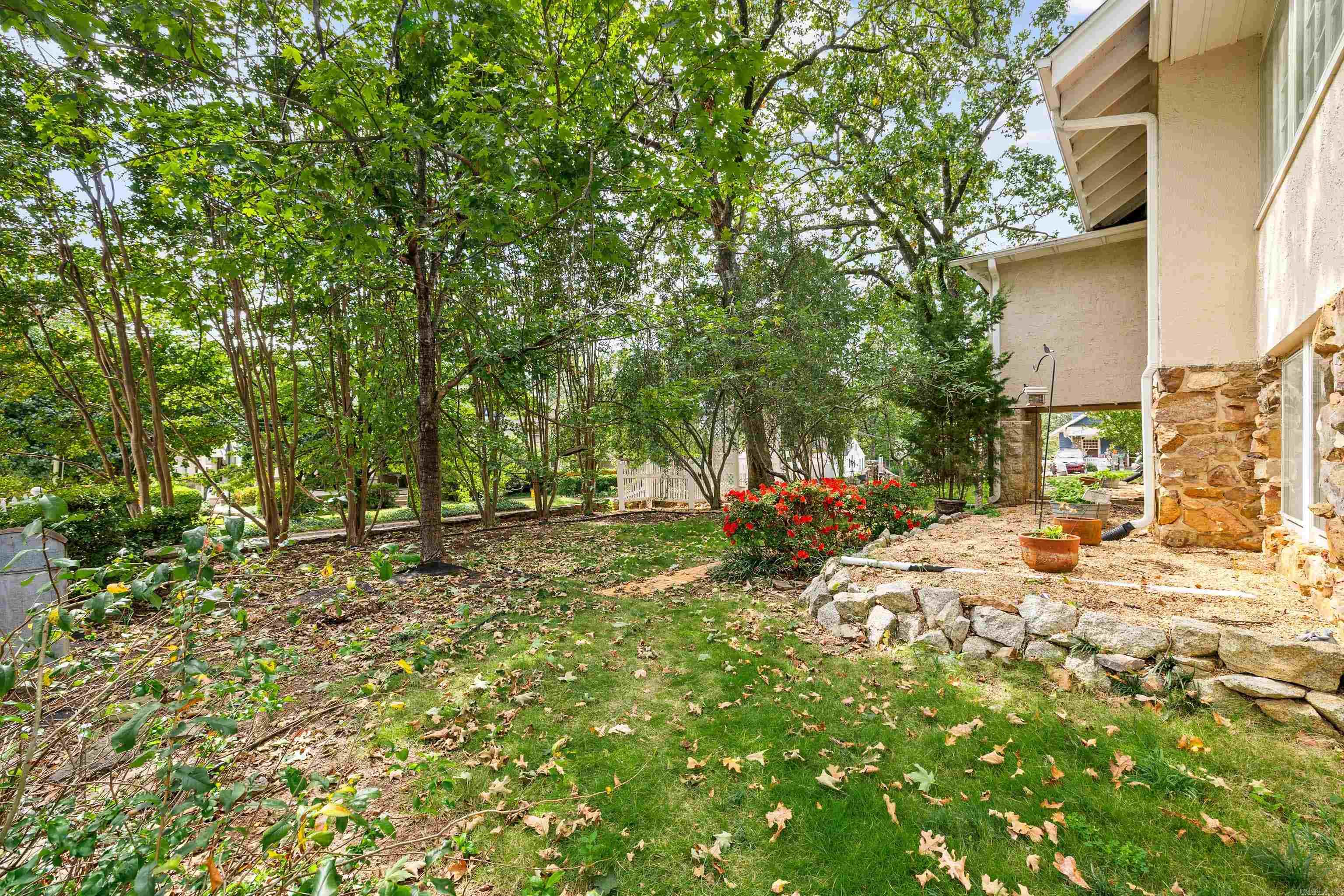 501 N Palm  Little Rock, AR