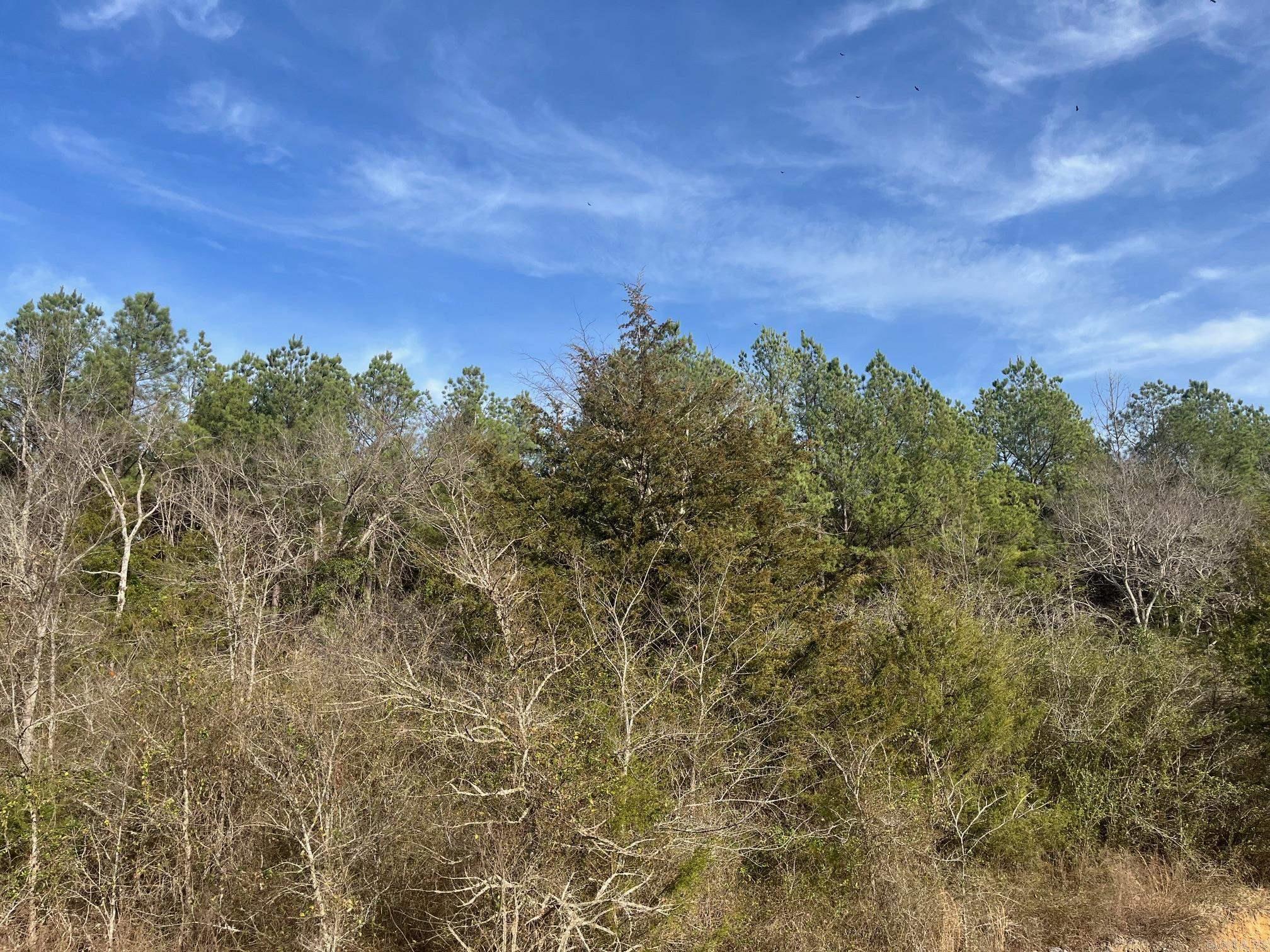 0 N Head  Murfreesboro, AR