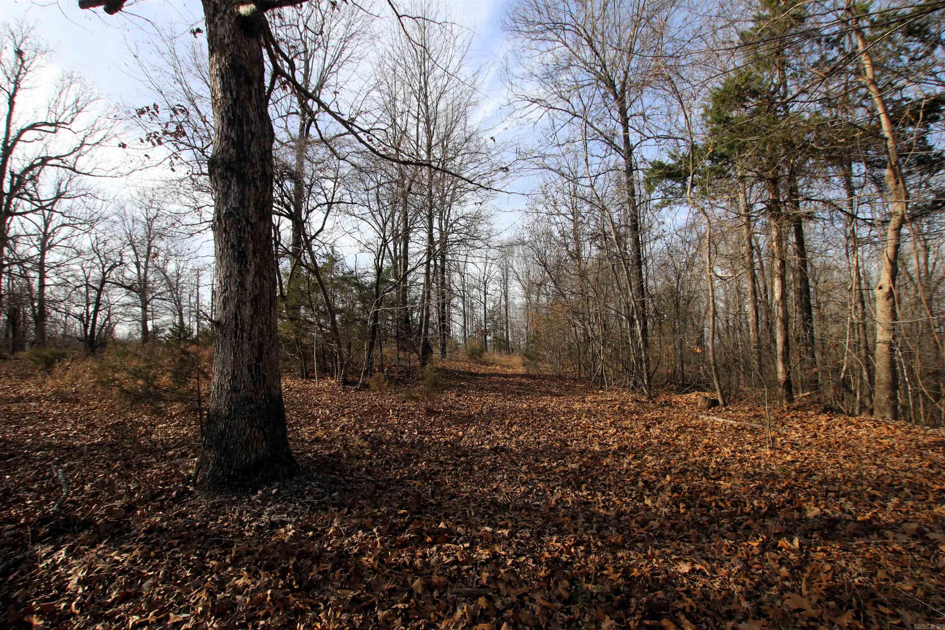 2671 AR 14  Harriet, AR