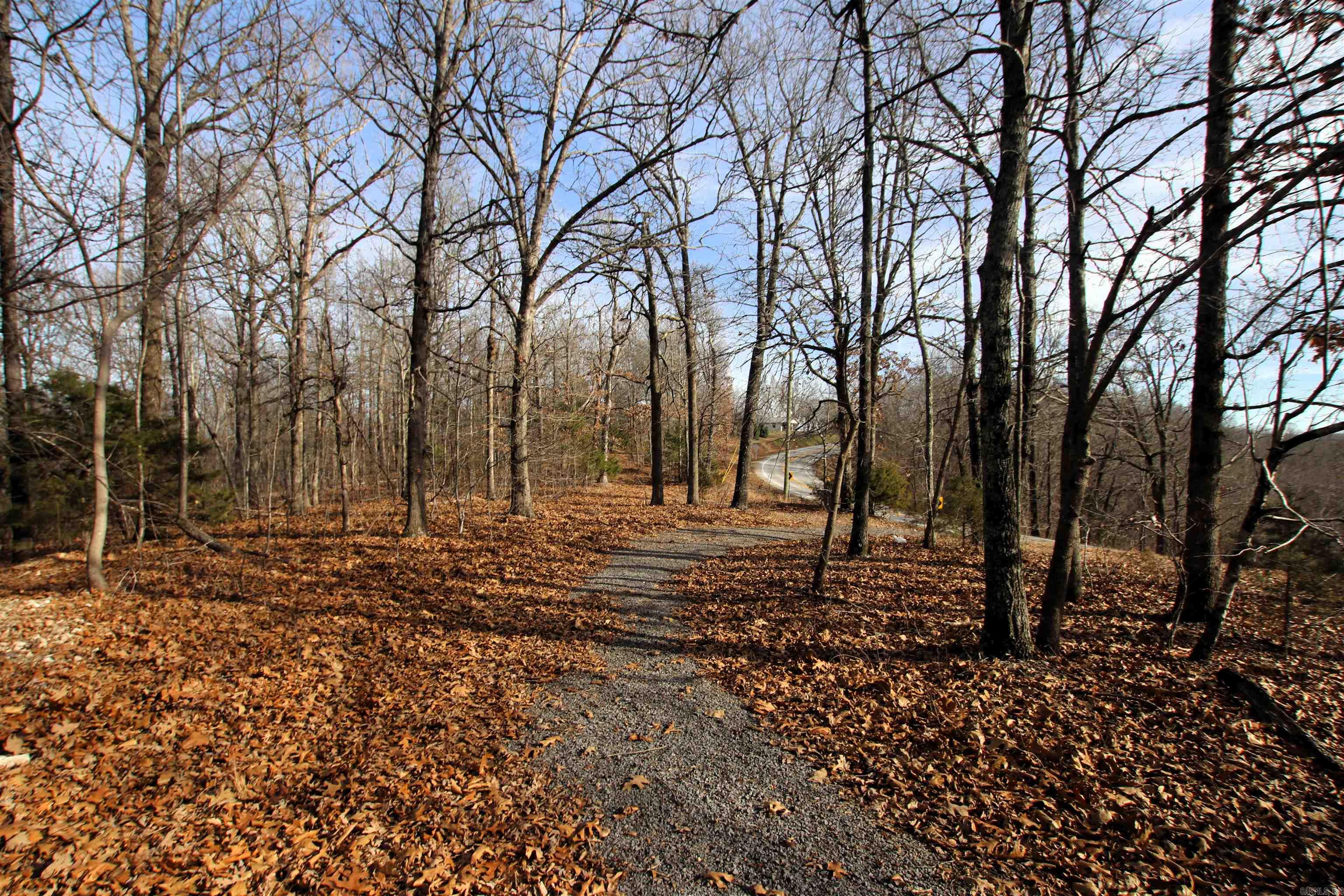 2671 AR 14  Harriet, AR