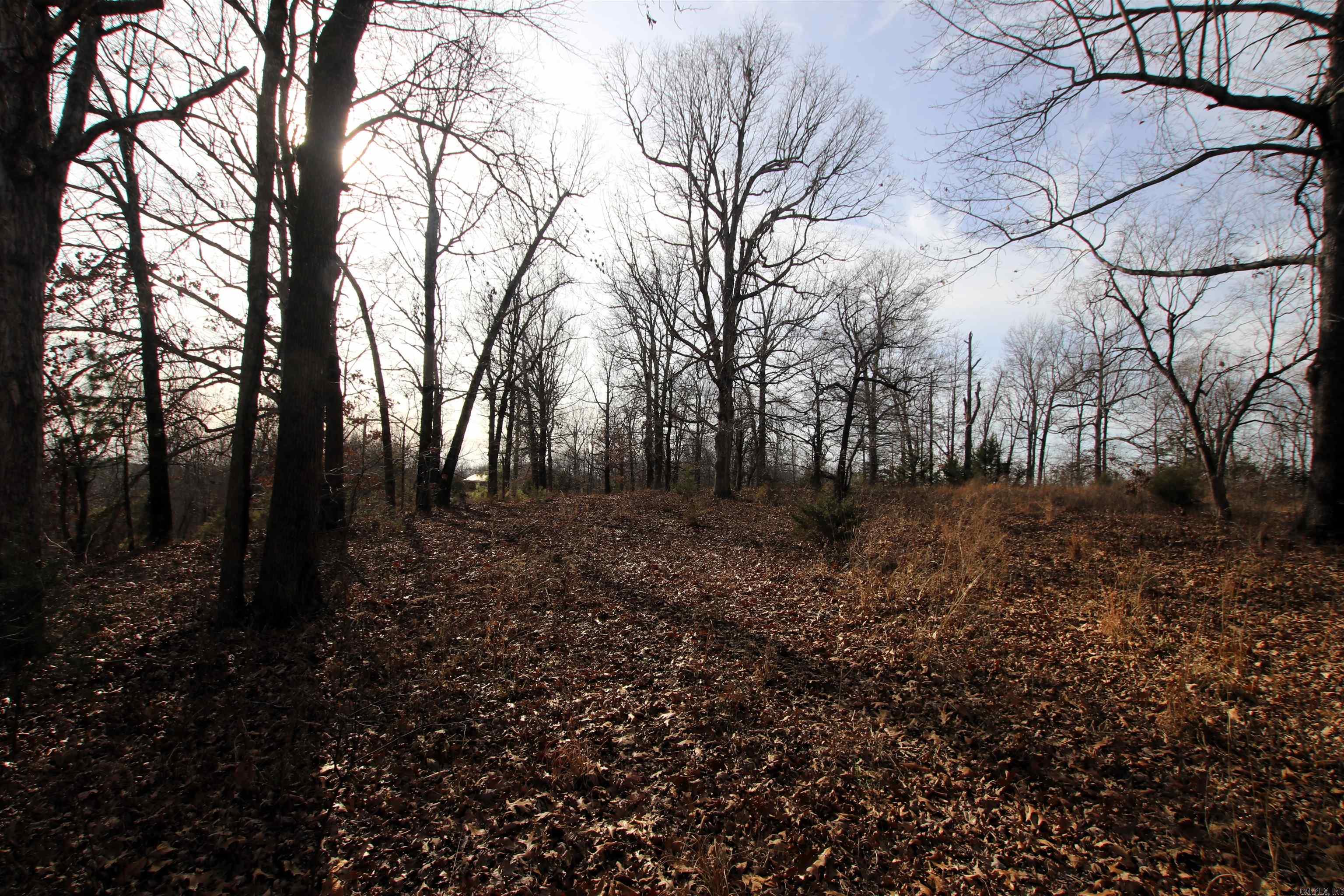 2671 AR 14  Harriet, AR