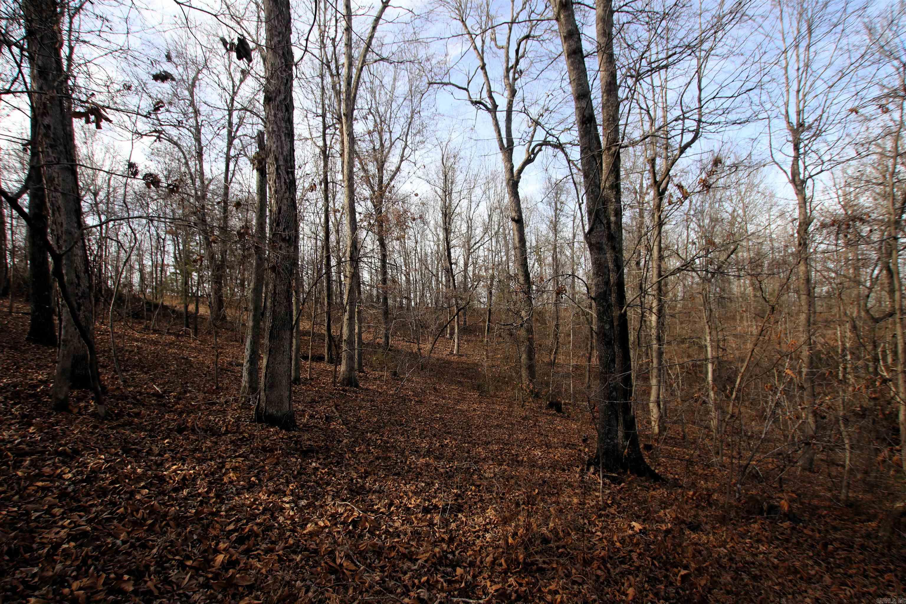 2671 AR 14  Harriet, AR