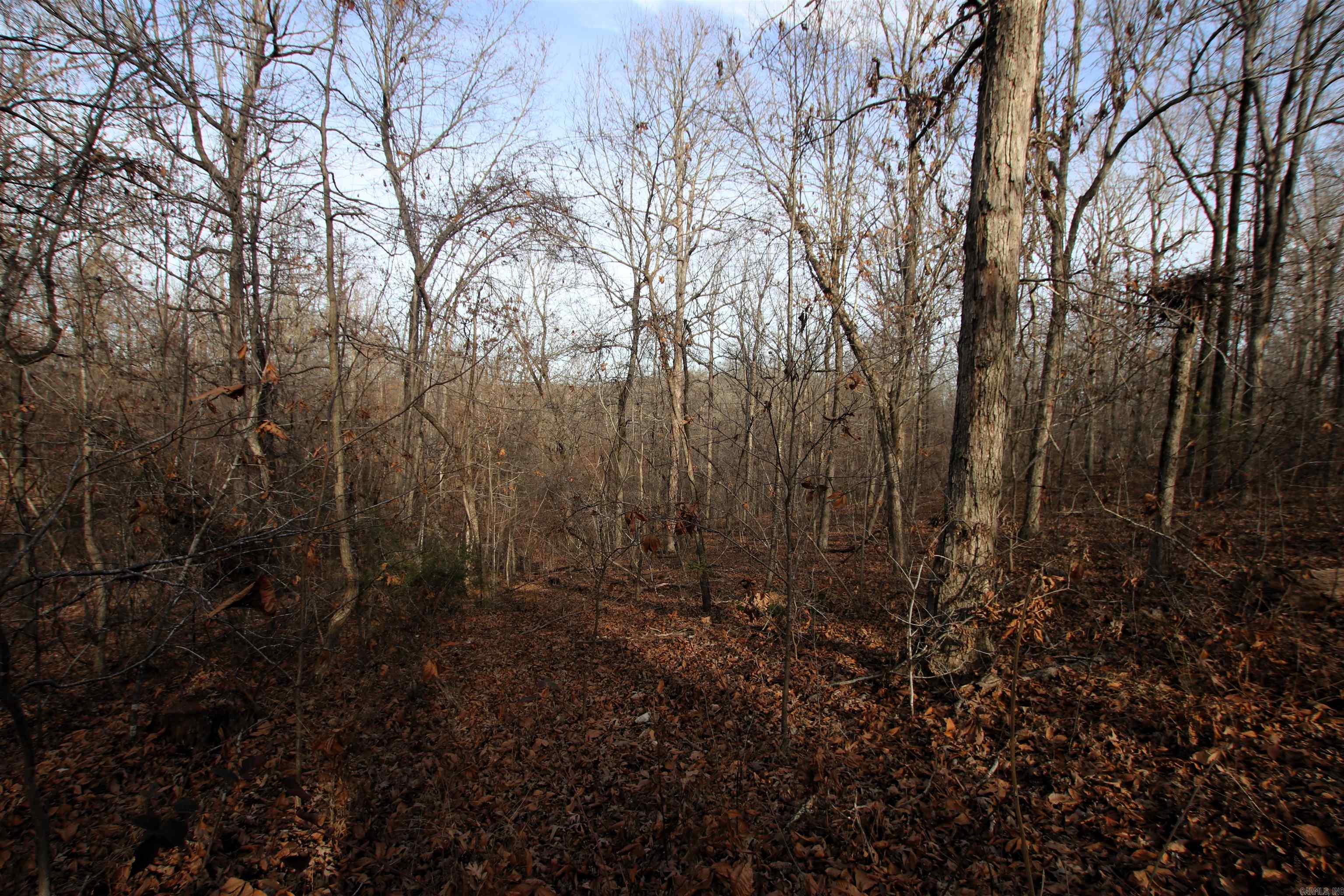 2671 AR 14  Harriet, AR