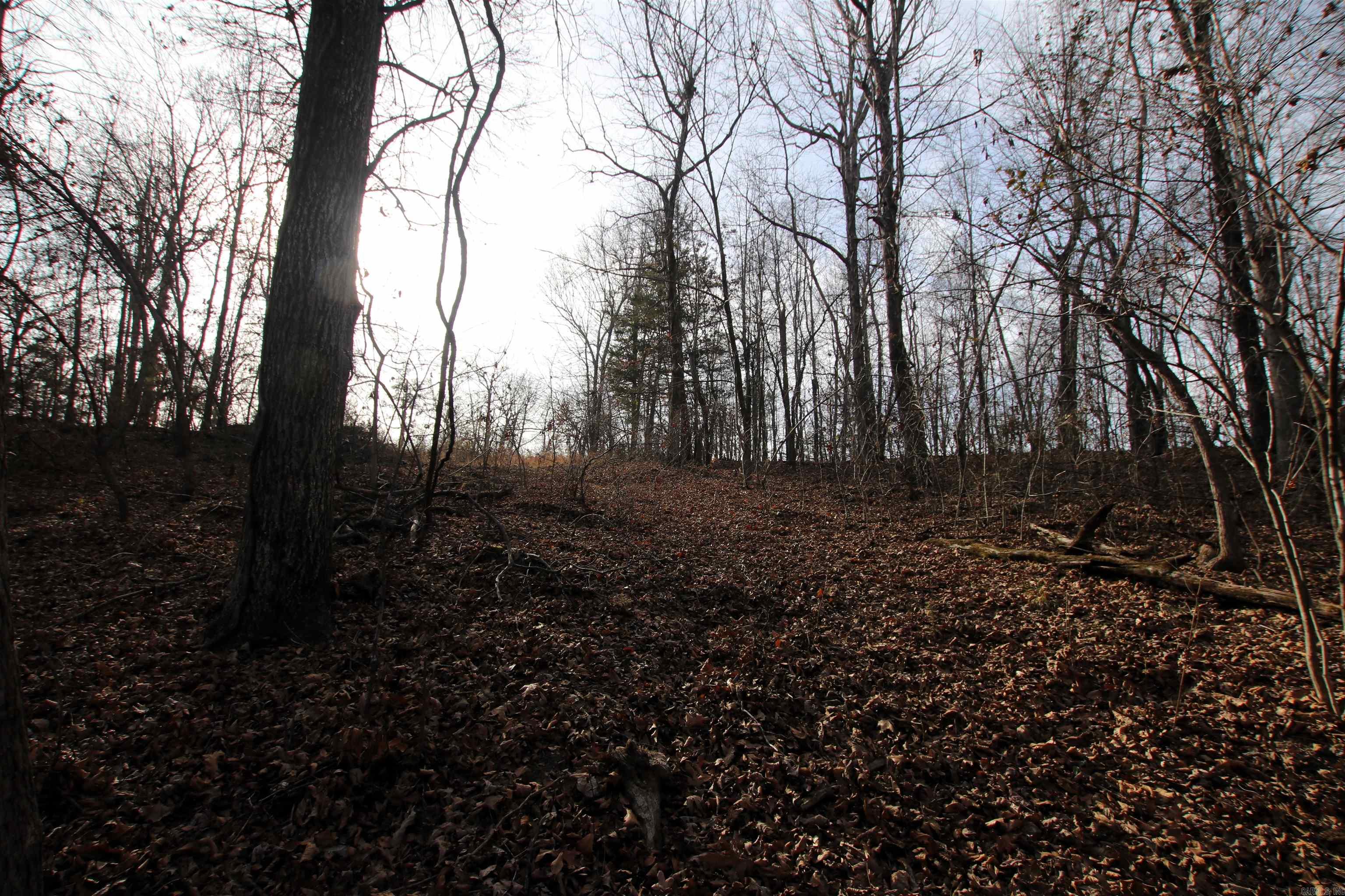 2671 AR 14  Harriet, AR