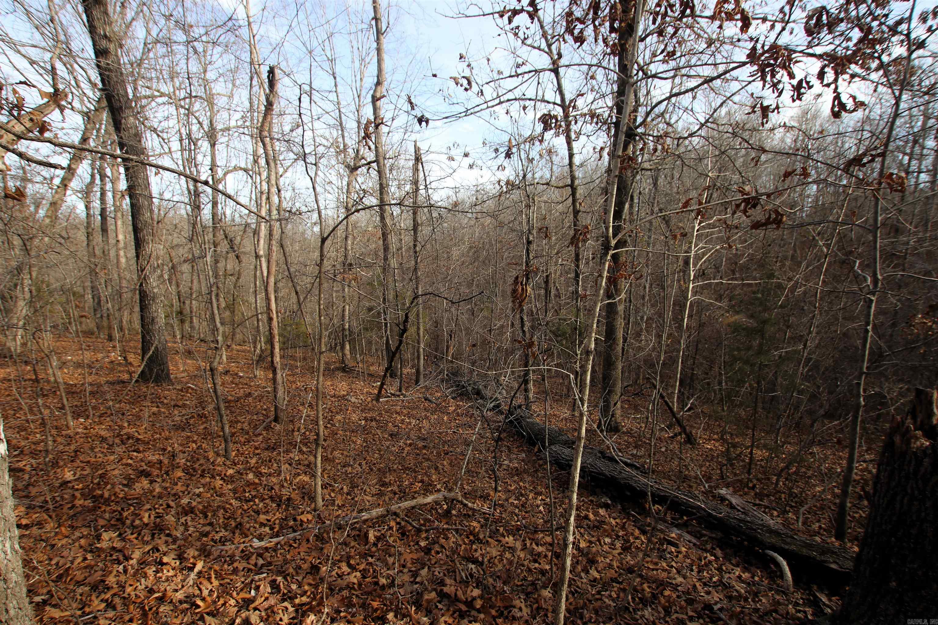 2671 AR 14  Harriet, AR