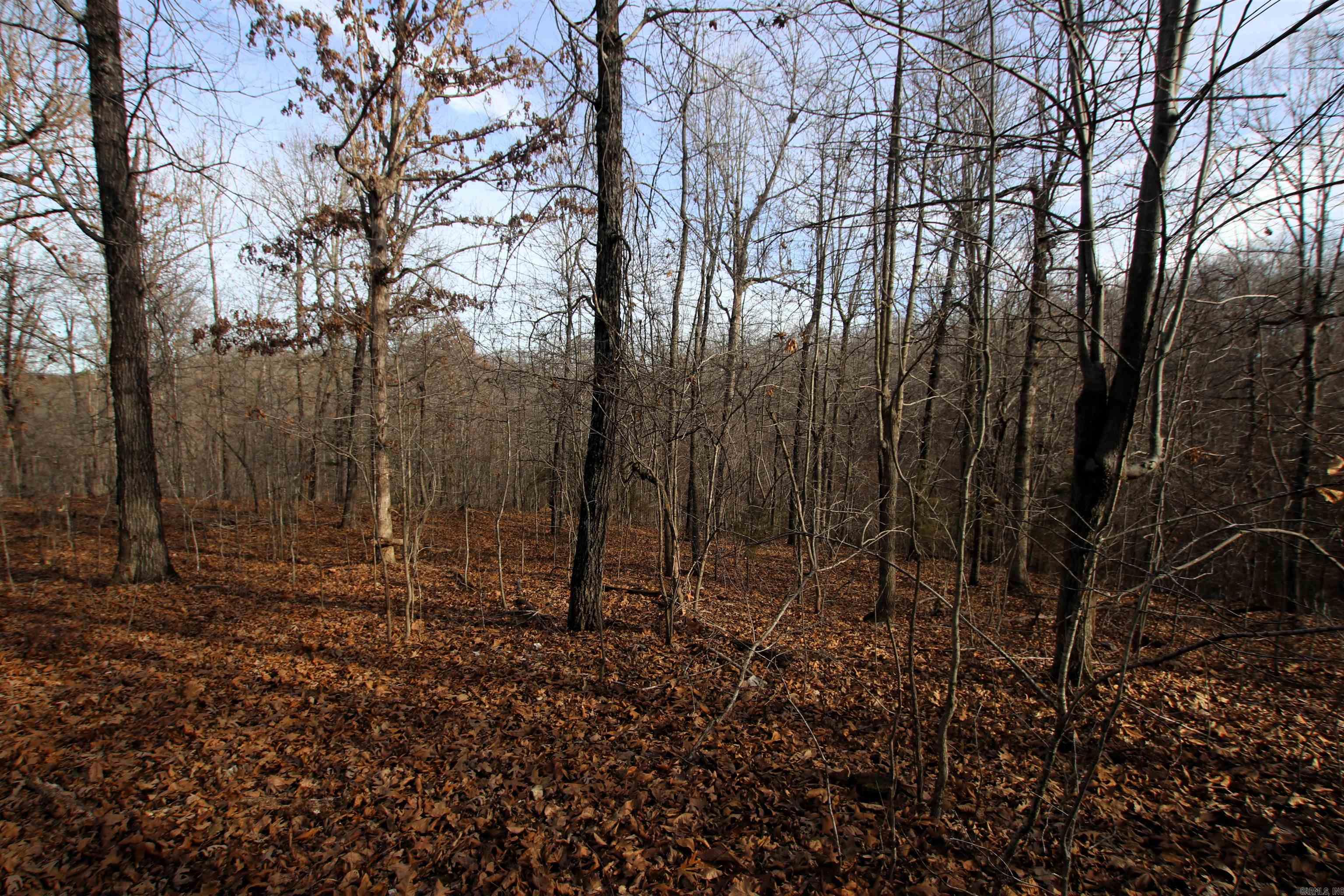 2671 AR 14  Harriet, AR