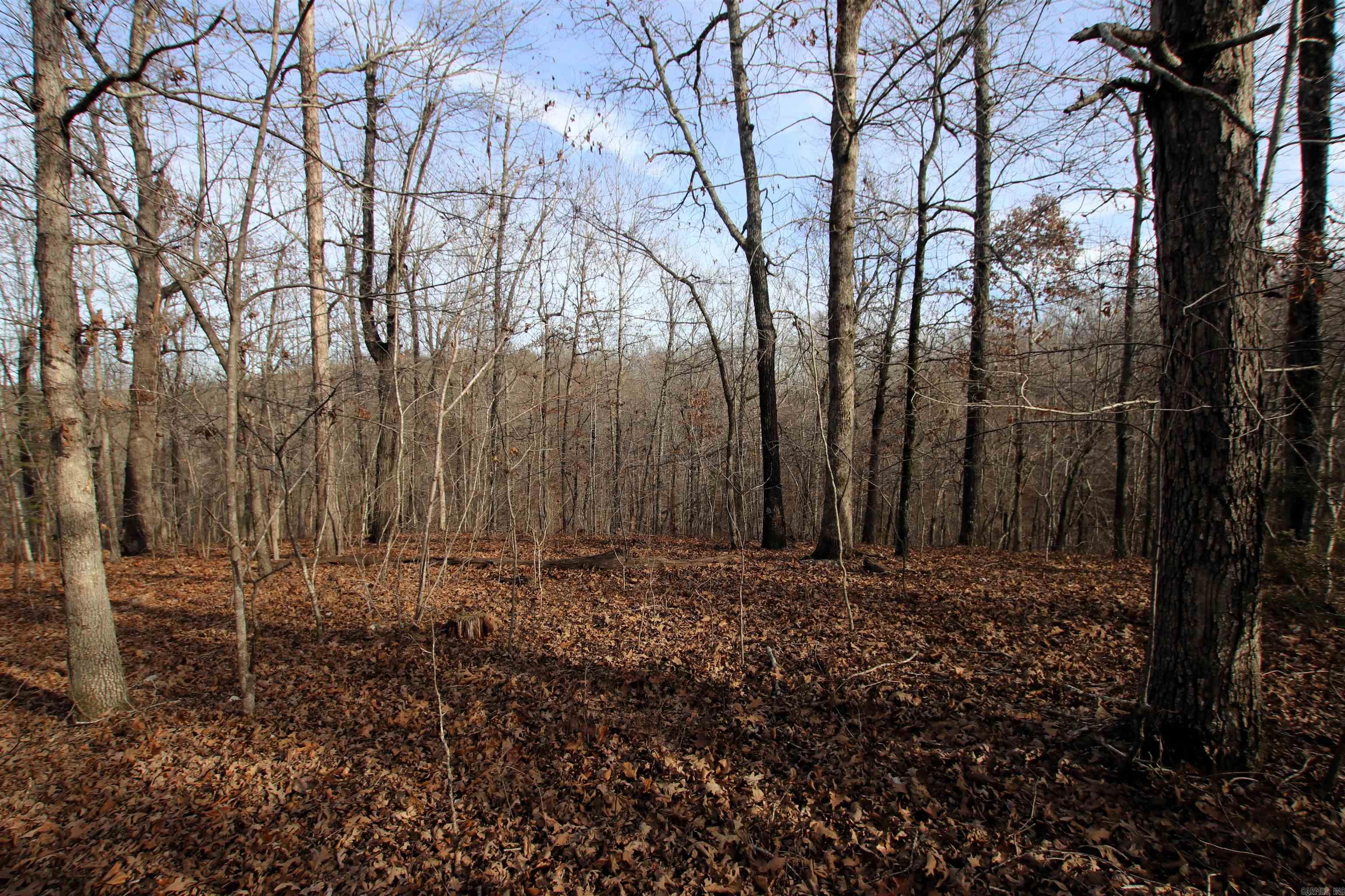 2671 AR 14  Harriet, AR