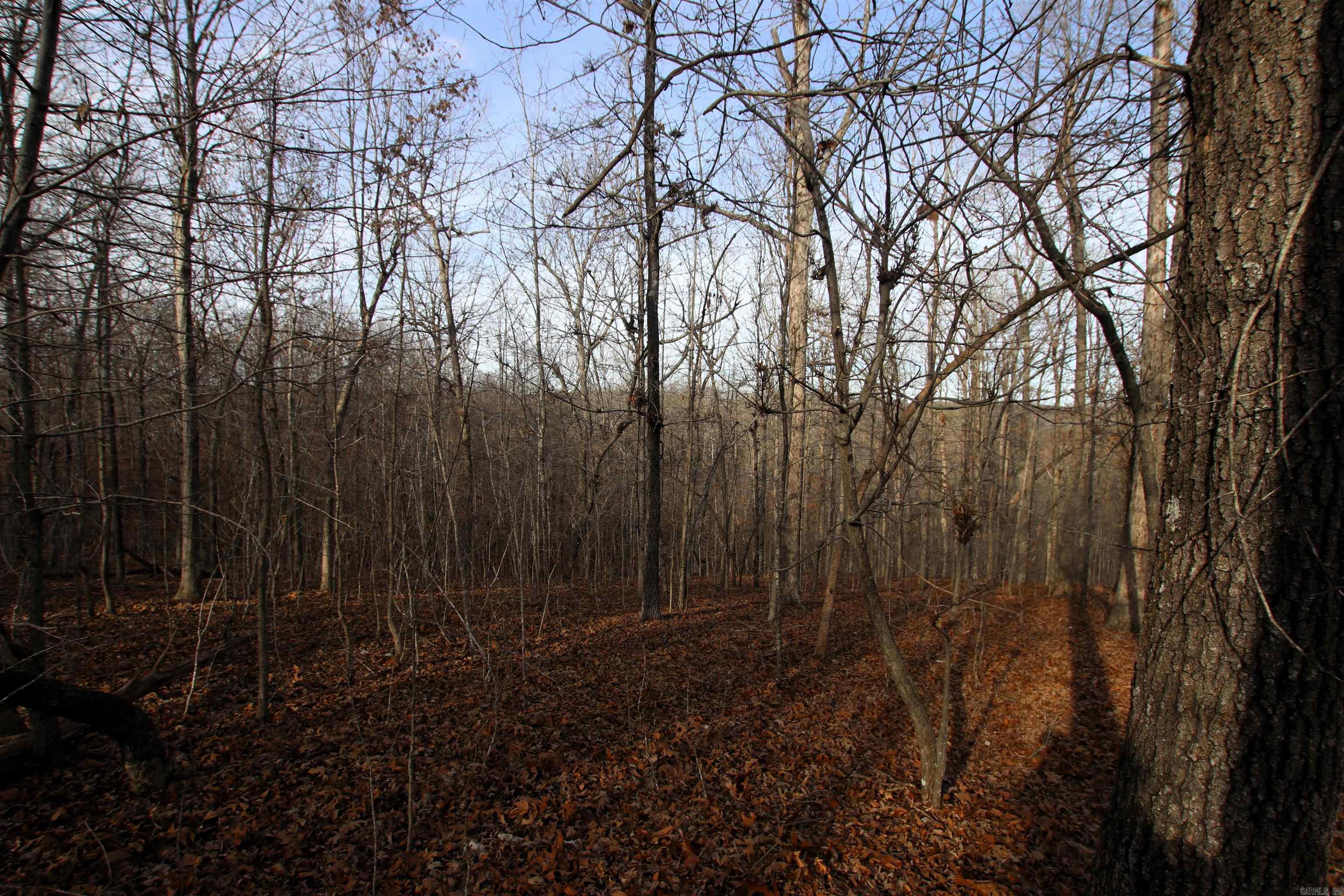 2671 AR 14  Harriet, AR