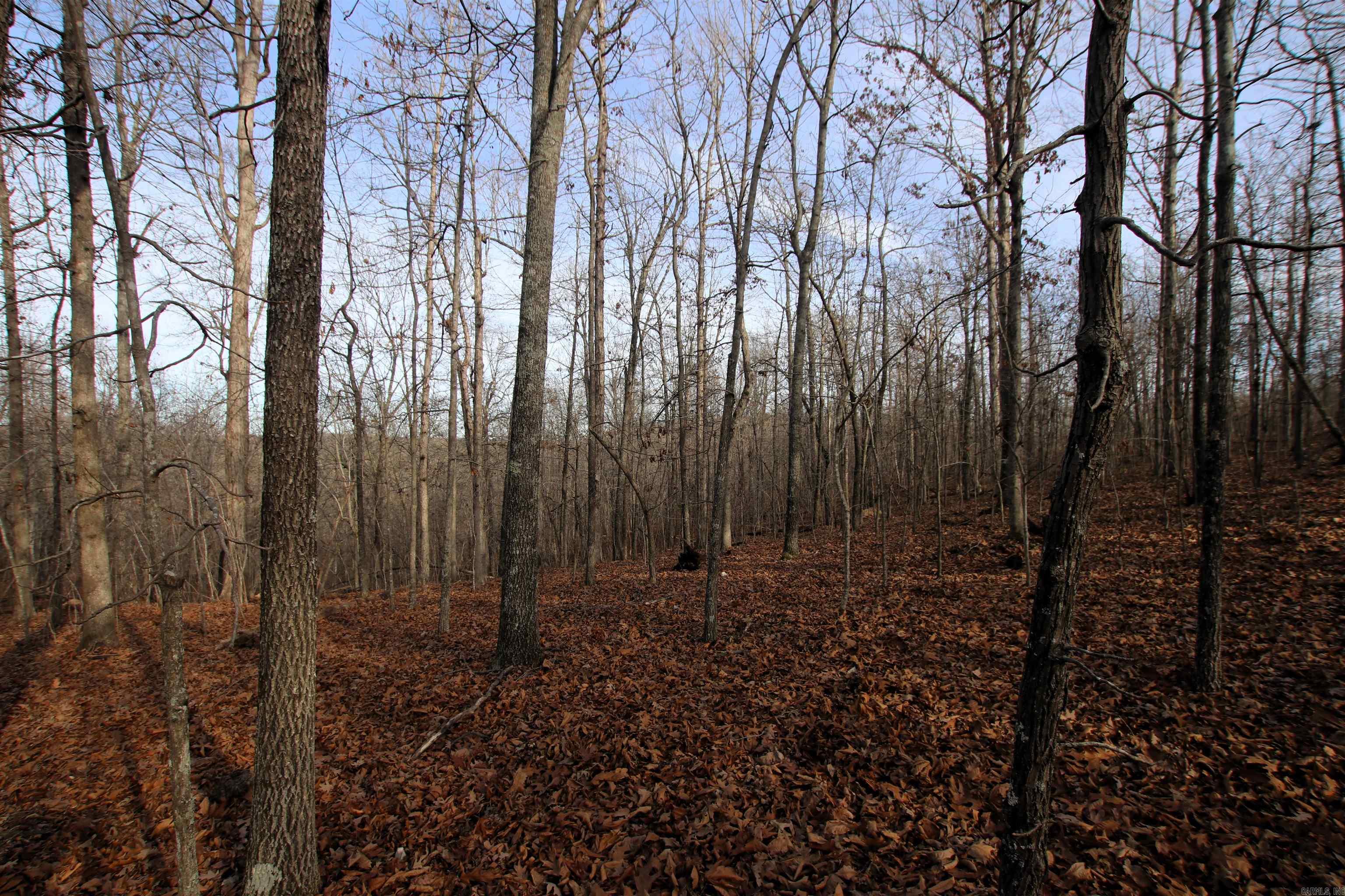 2671 AR 14  Harriet, AR