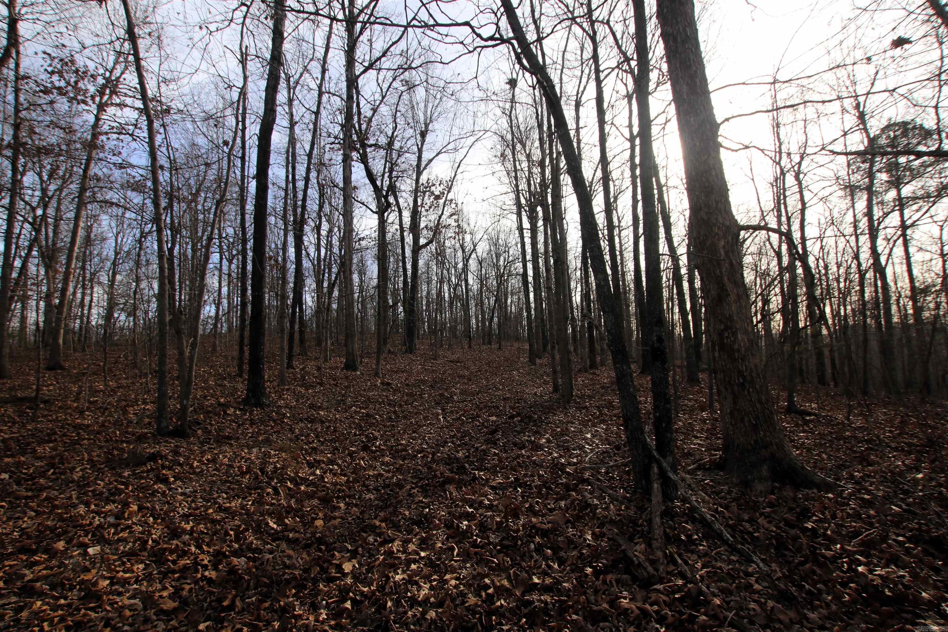 2671 AR 14  Harriet, AR