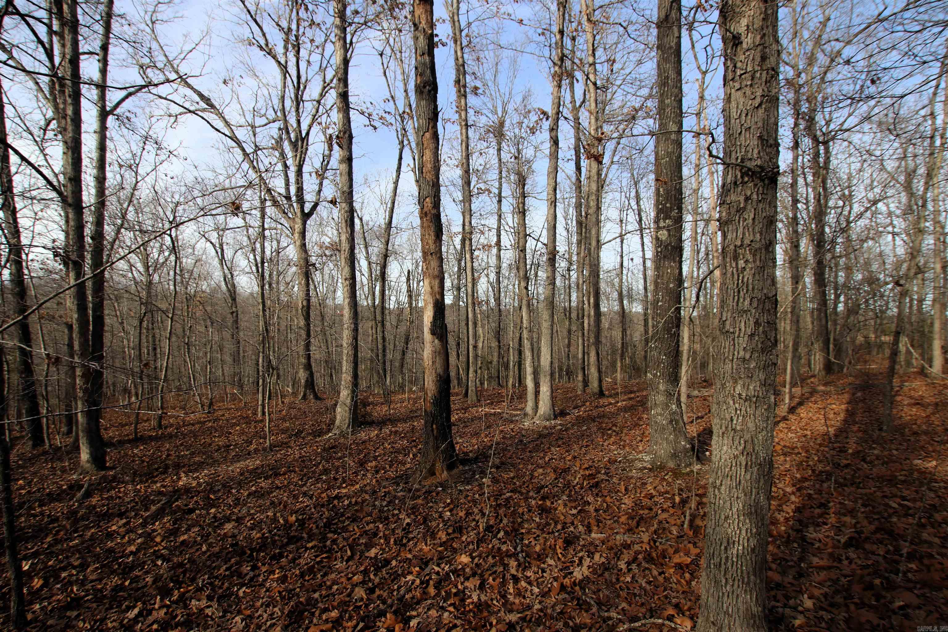 2671 AR 14  Harriet, AR