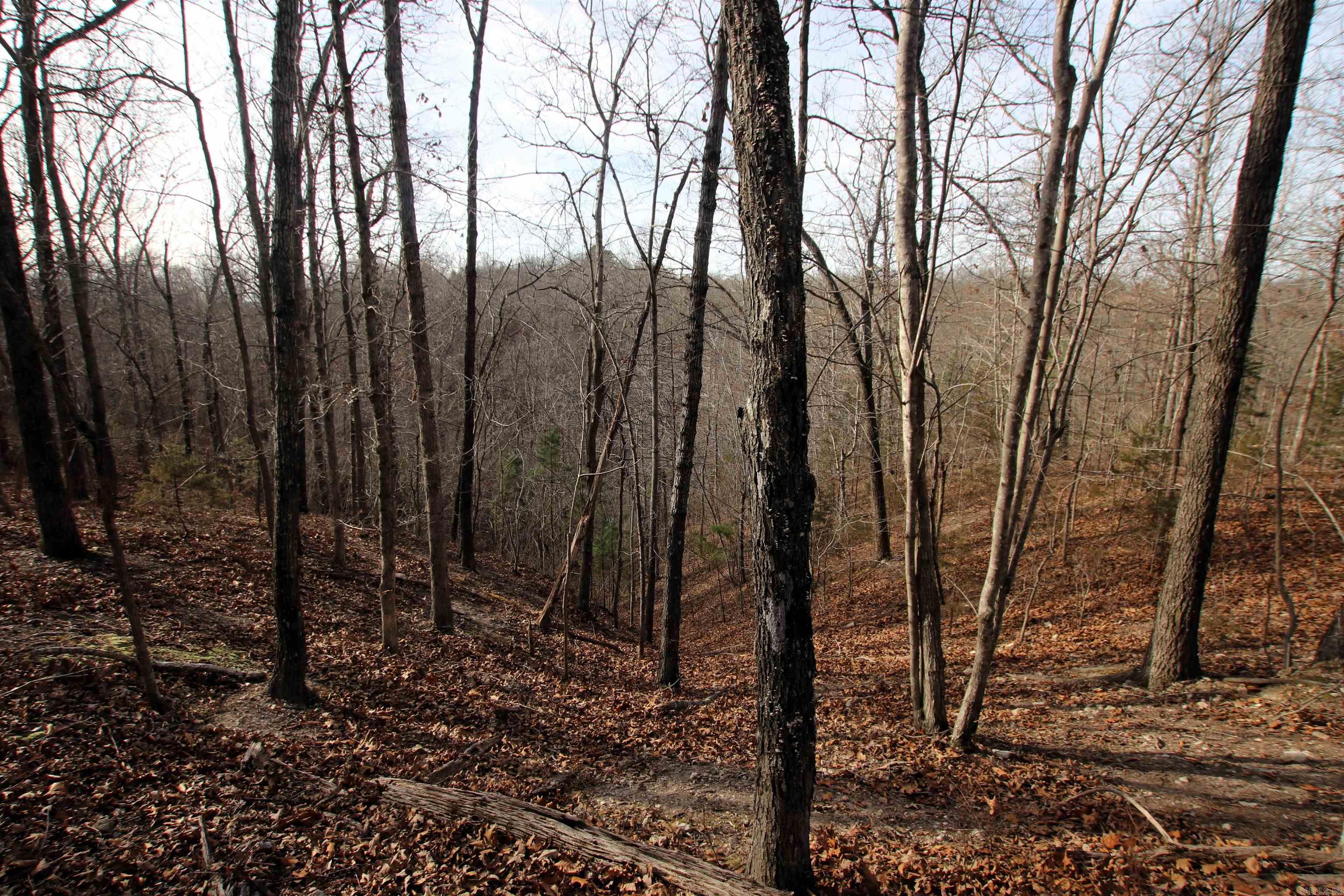 2671 AR 14  Harriet, AR