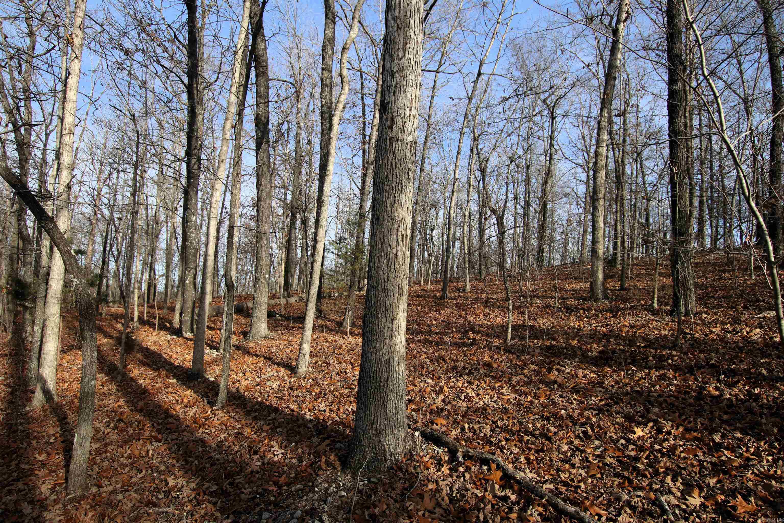 2671 AR 14  Harriet, AR