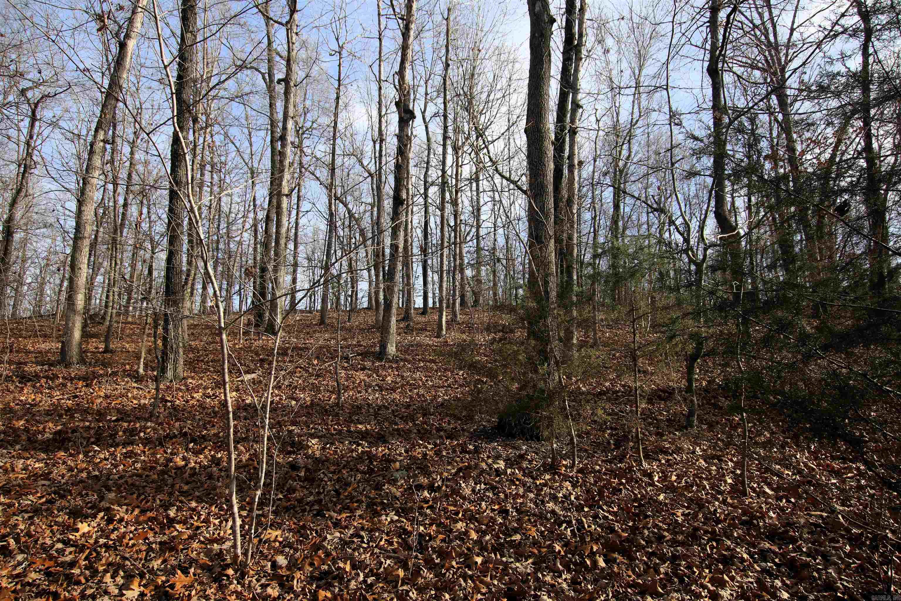 2671 AR 14  Harriet, AR