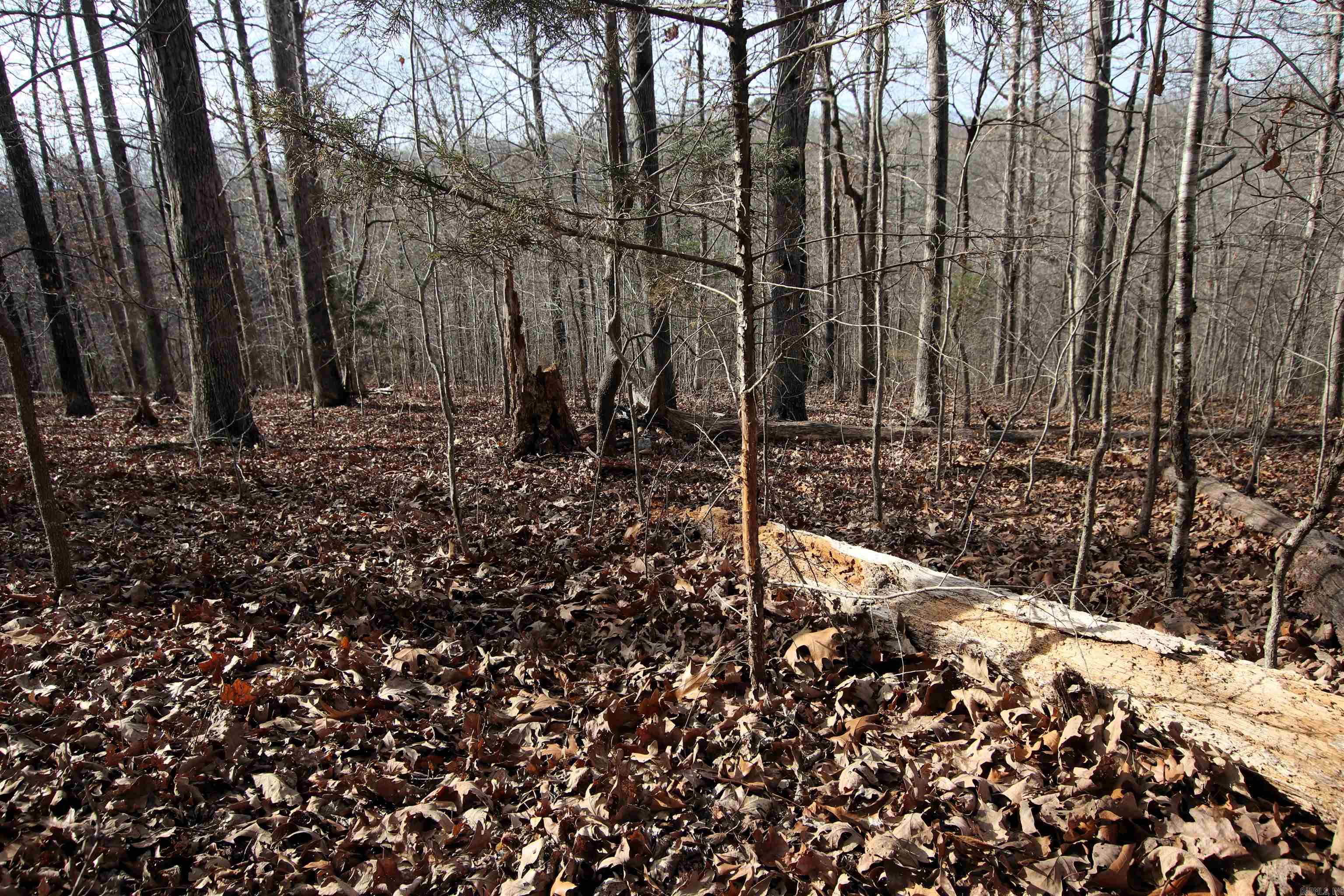 2671 AR 14  Harriet, AR