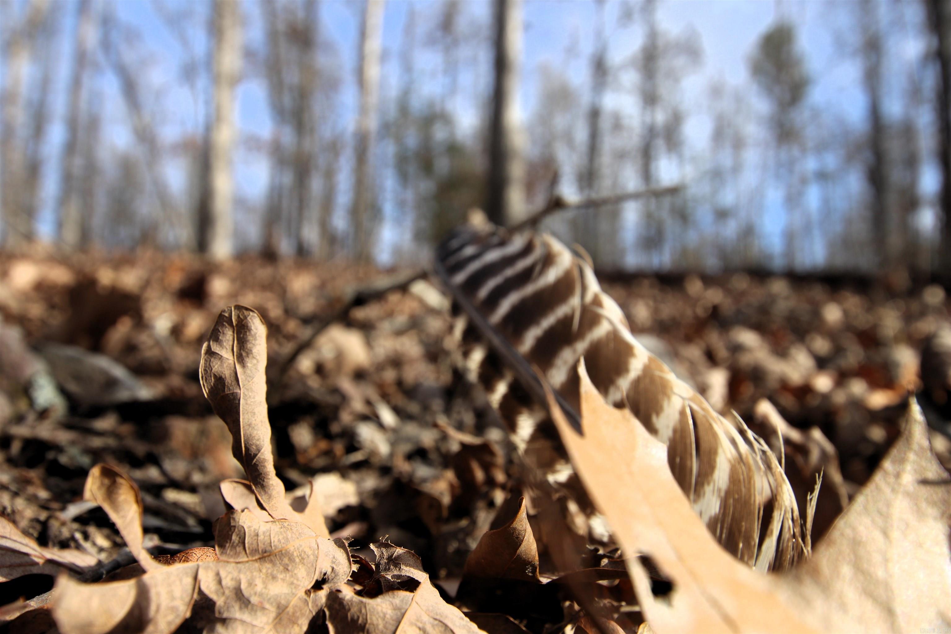 2671 AR 14  Harriet, AR