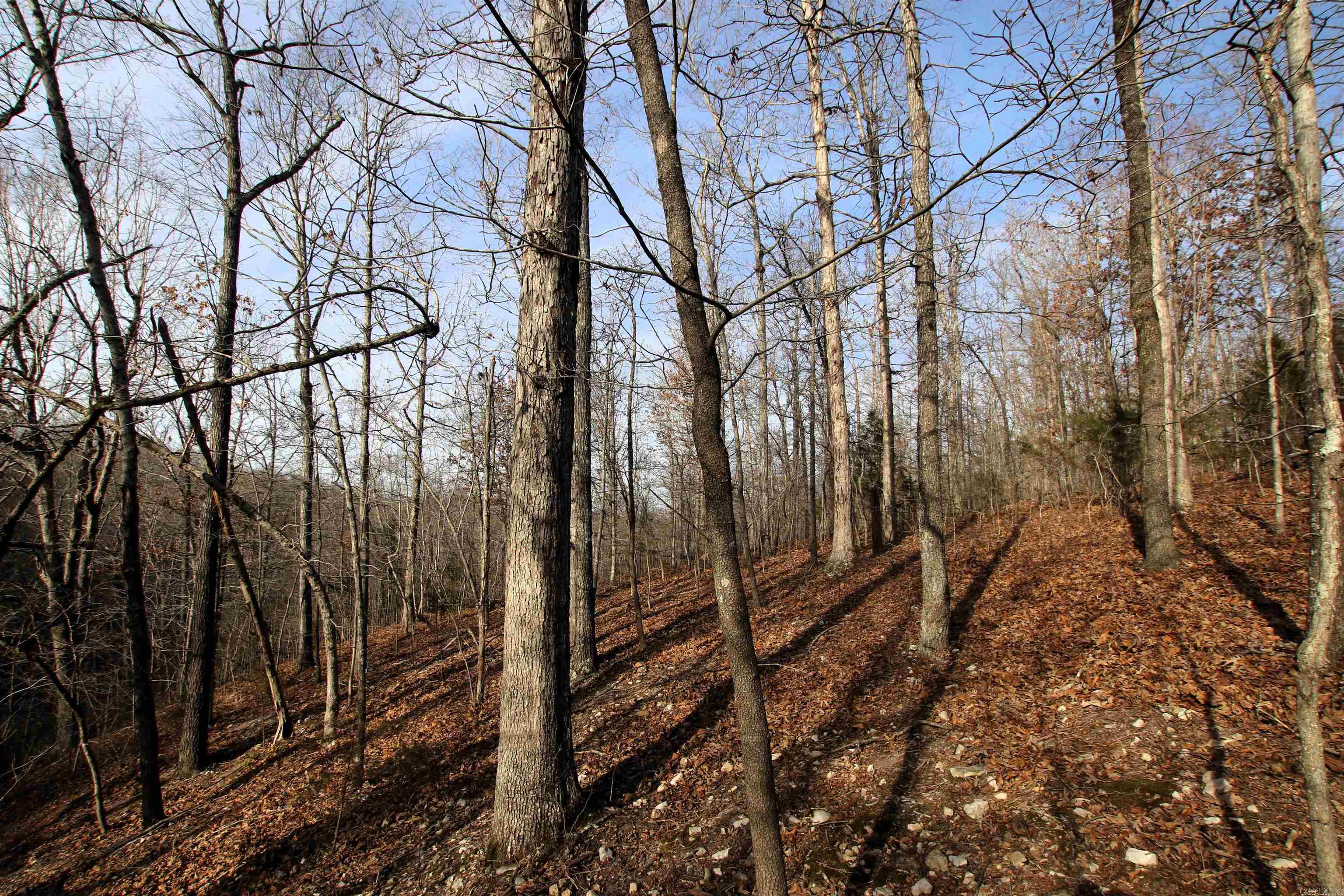 2671 AR 14  Harriet, AR