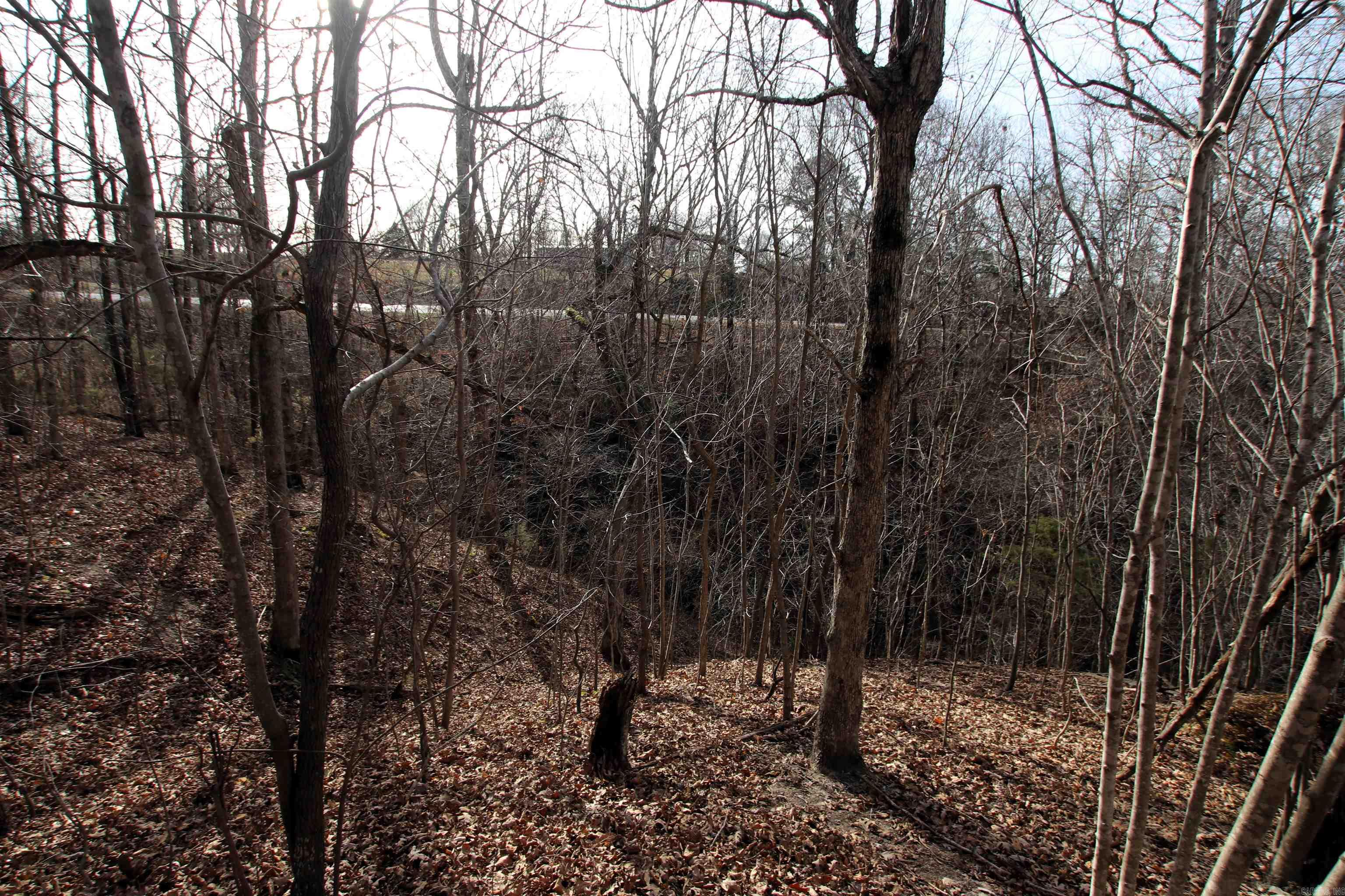 2671 AR 14  Harriet, AR