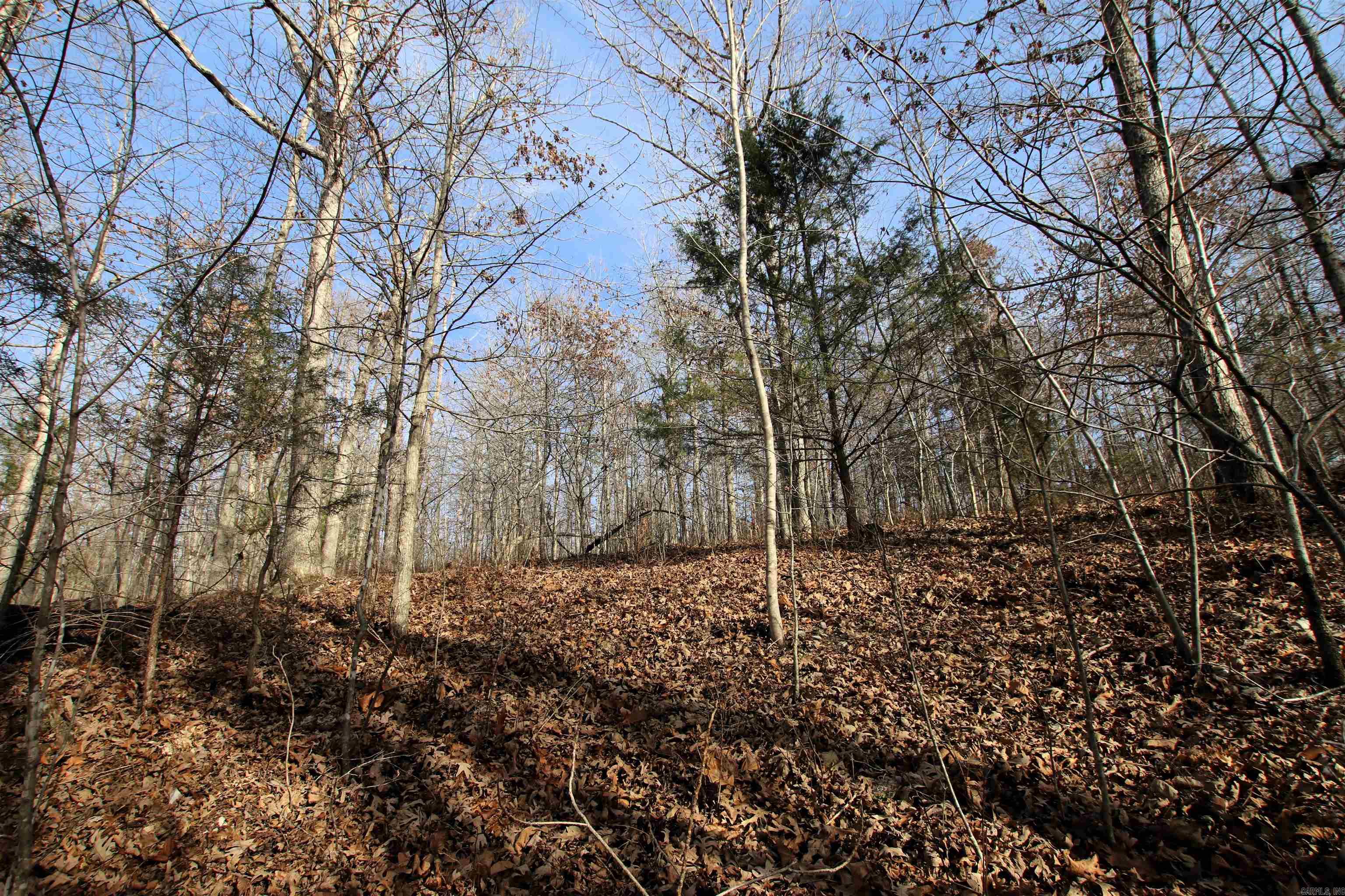 2671 AR 14  Harriet, AR