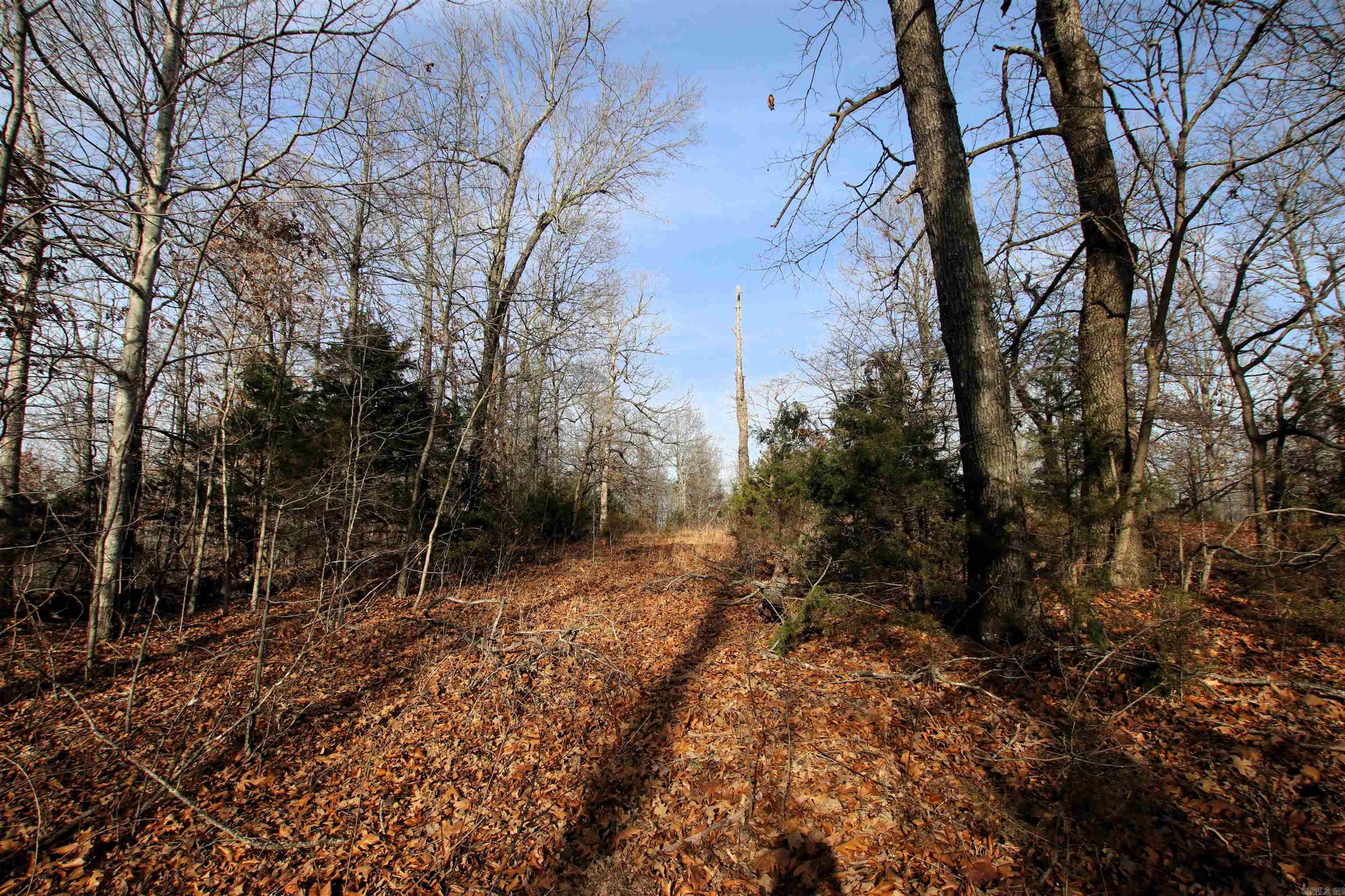 2671 AR 14  Harriet, AR